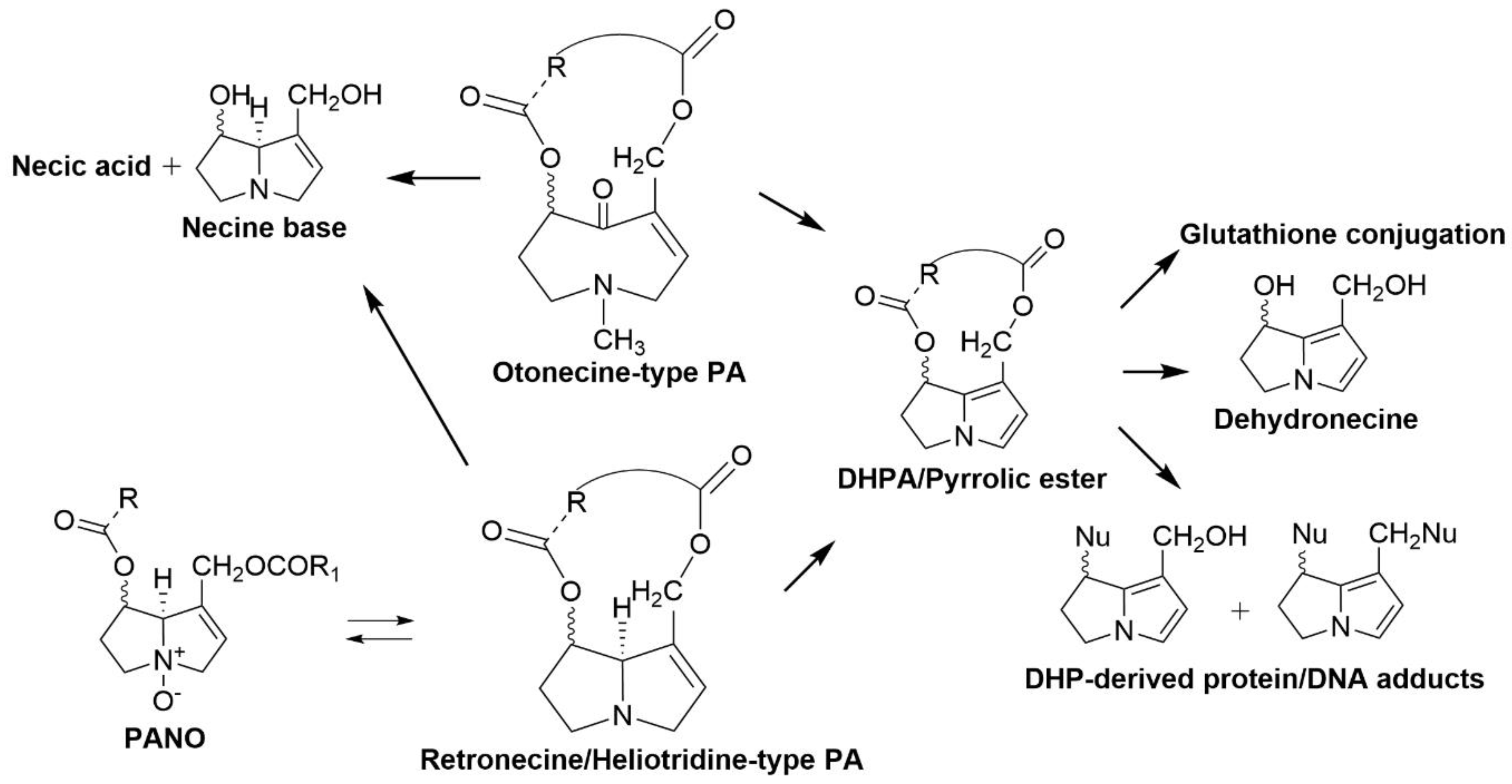 Toxins 12 00664 g005