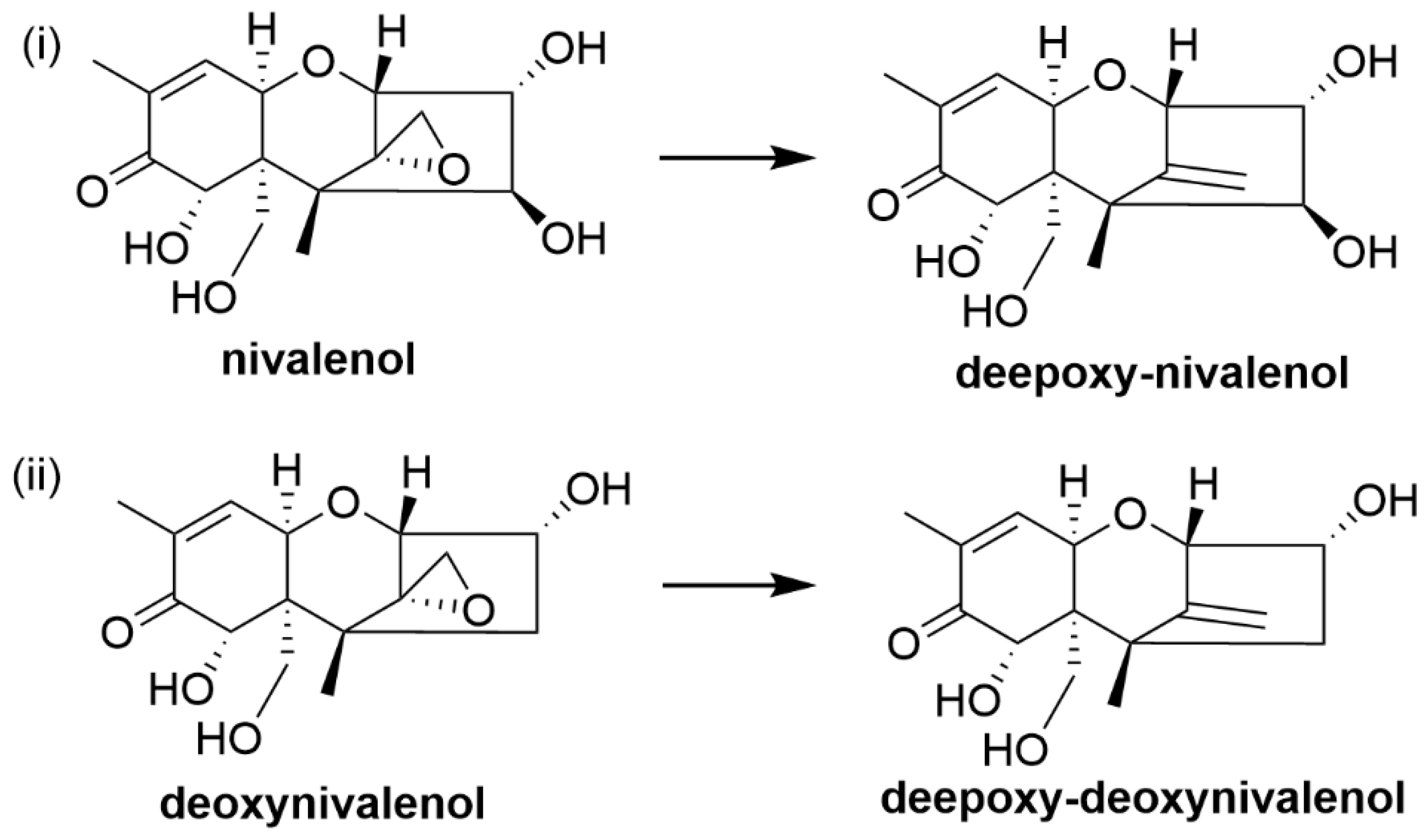 Toxins 12 00664 g010