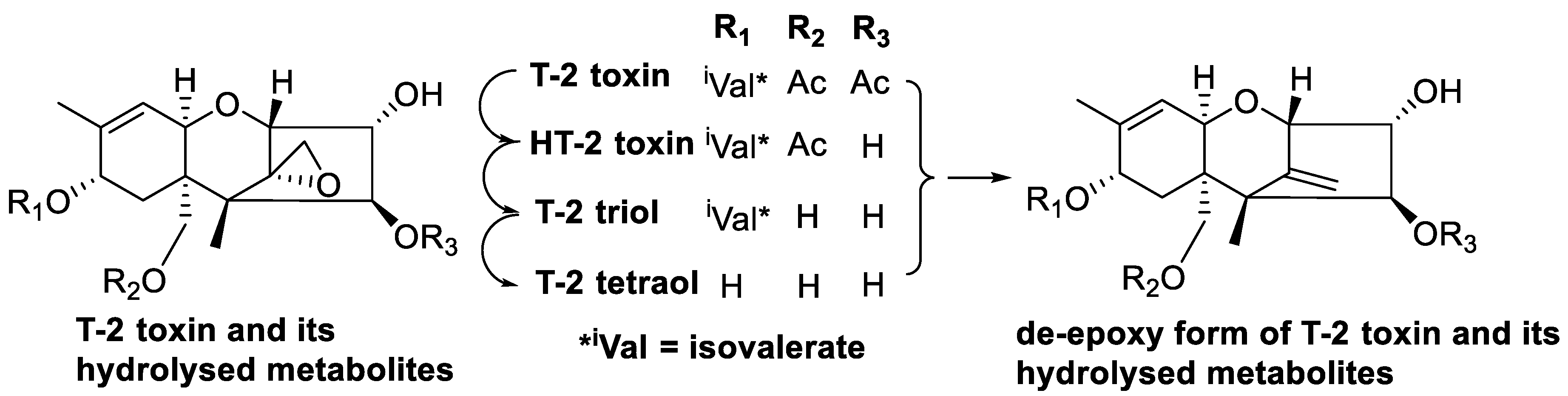Toxins 12 00664 g011