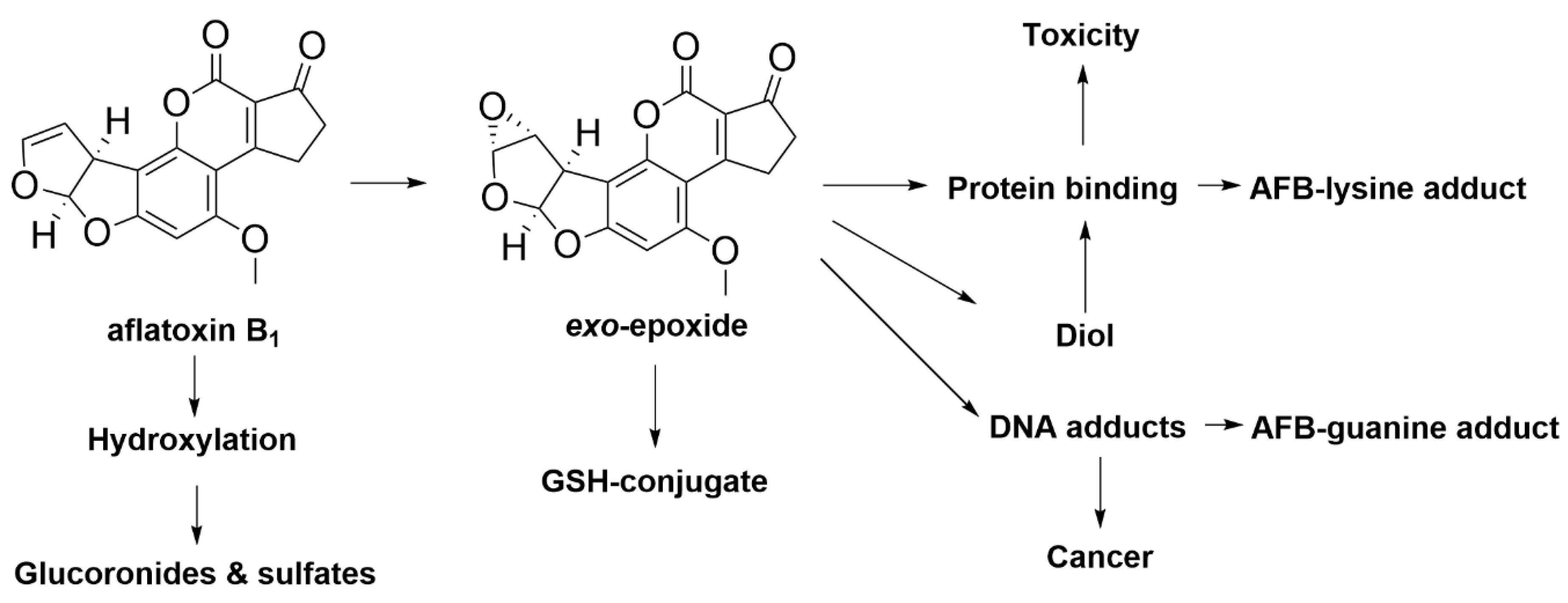 Toxins 12 00664 g013