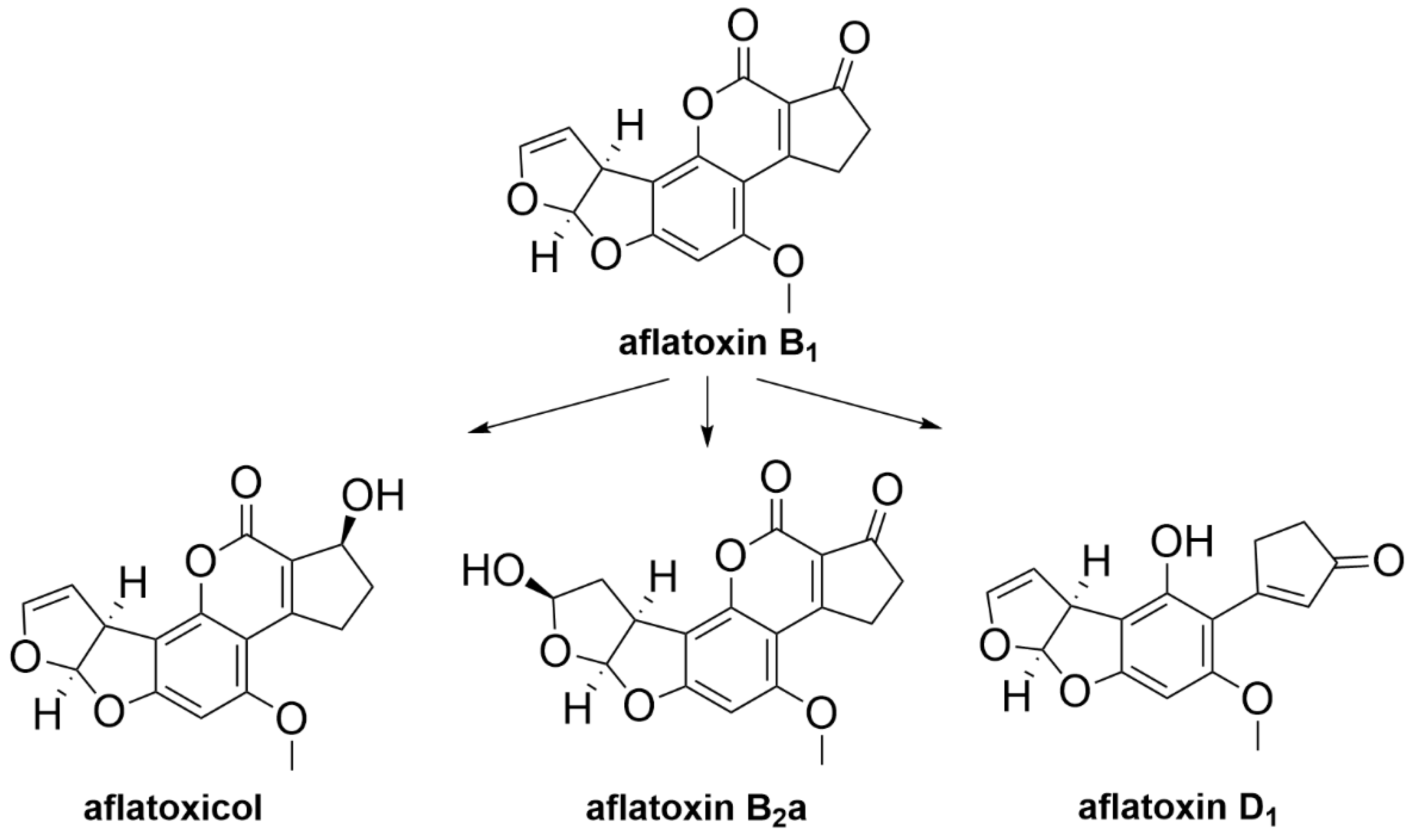 Toxins 12 00664 g014