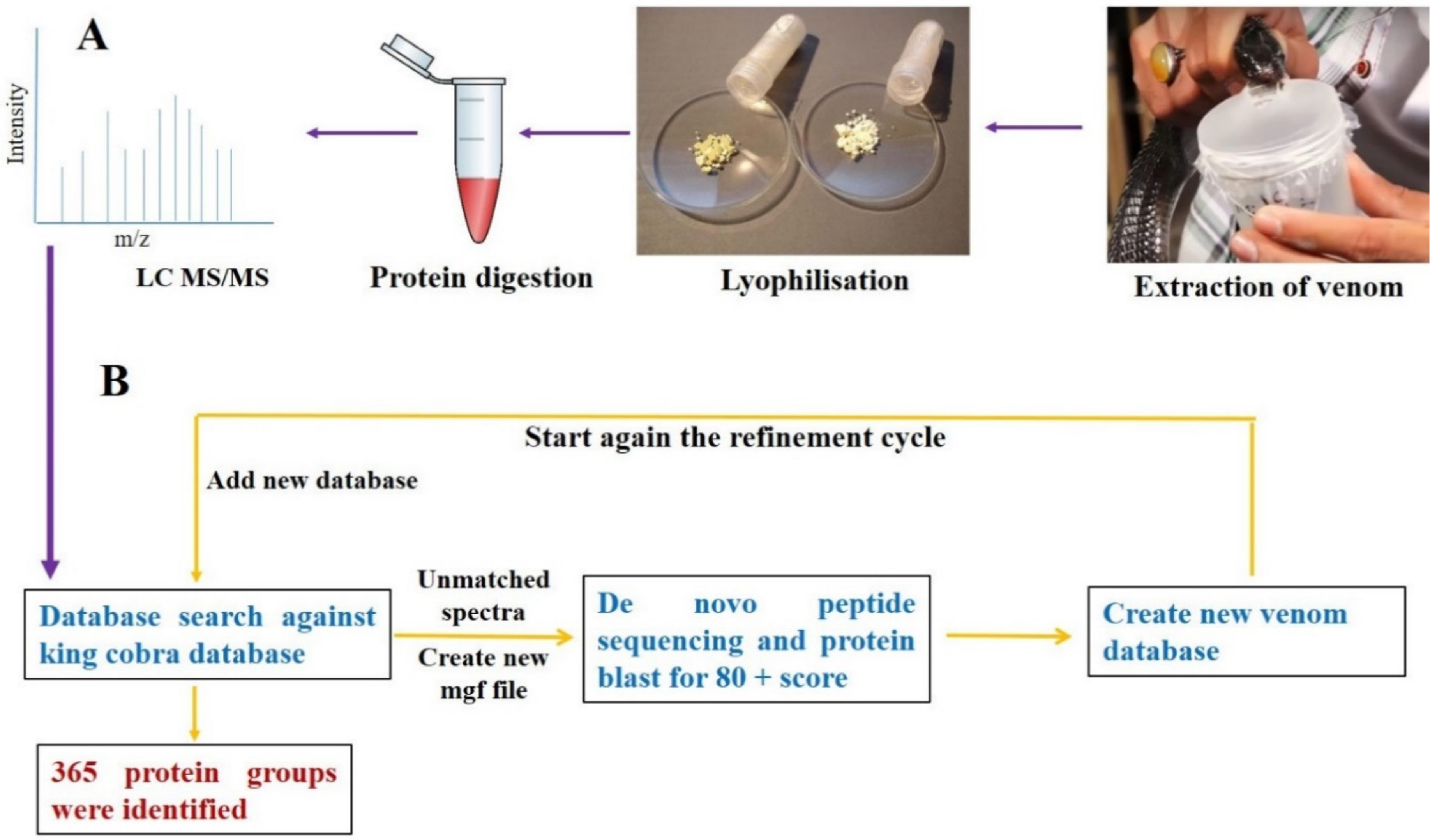 Toxins 12 00669 g002