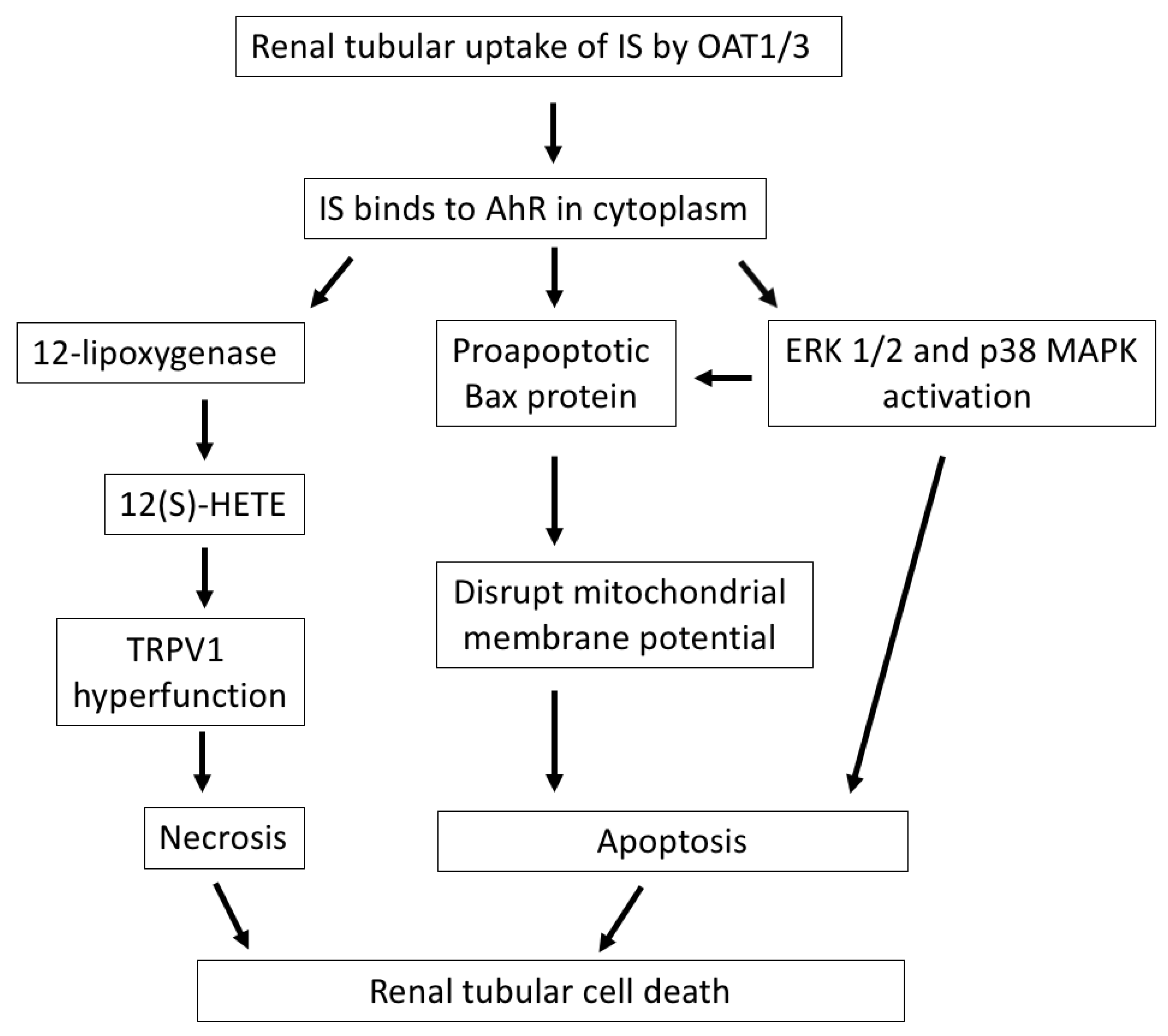 Toxins 12 00684 g001