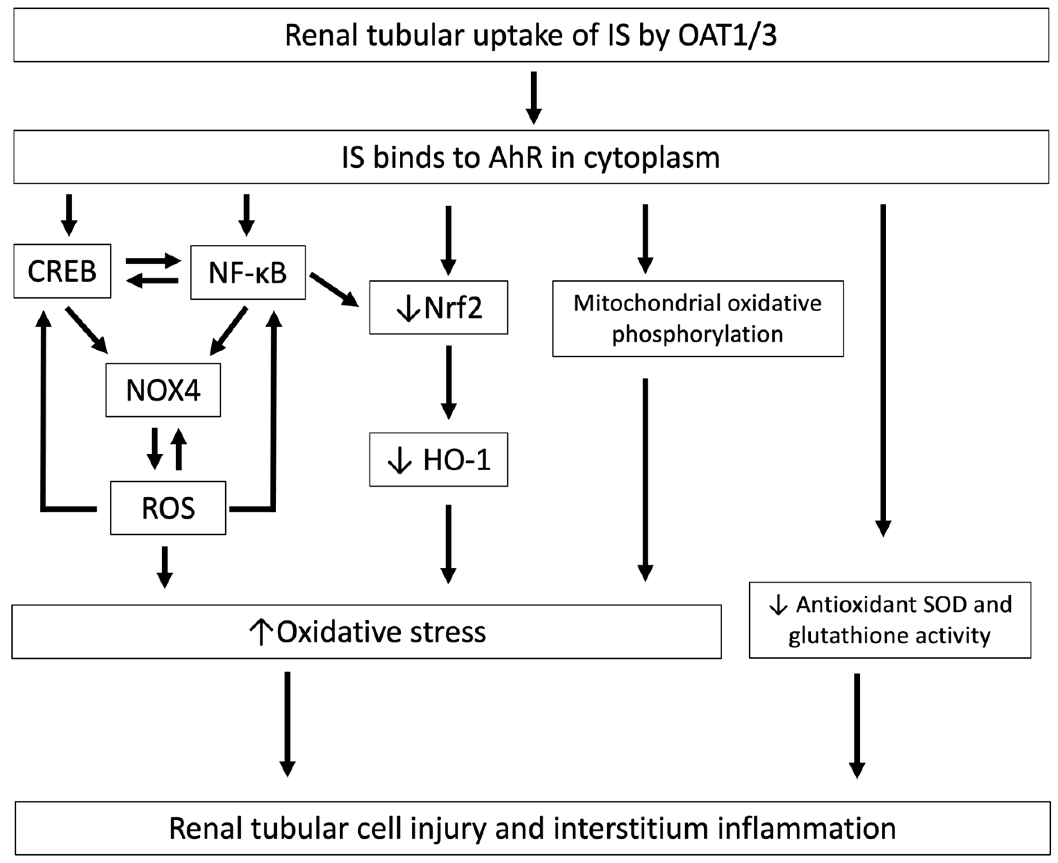 Toxins 12 00684 g002
