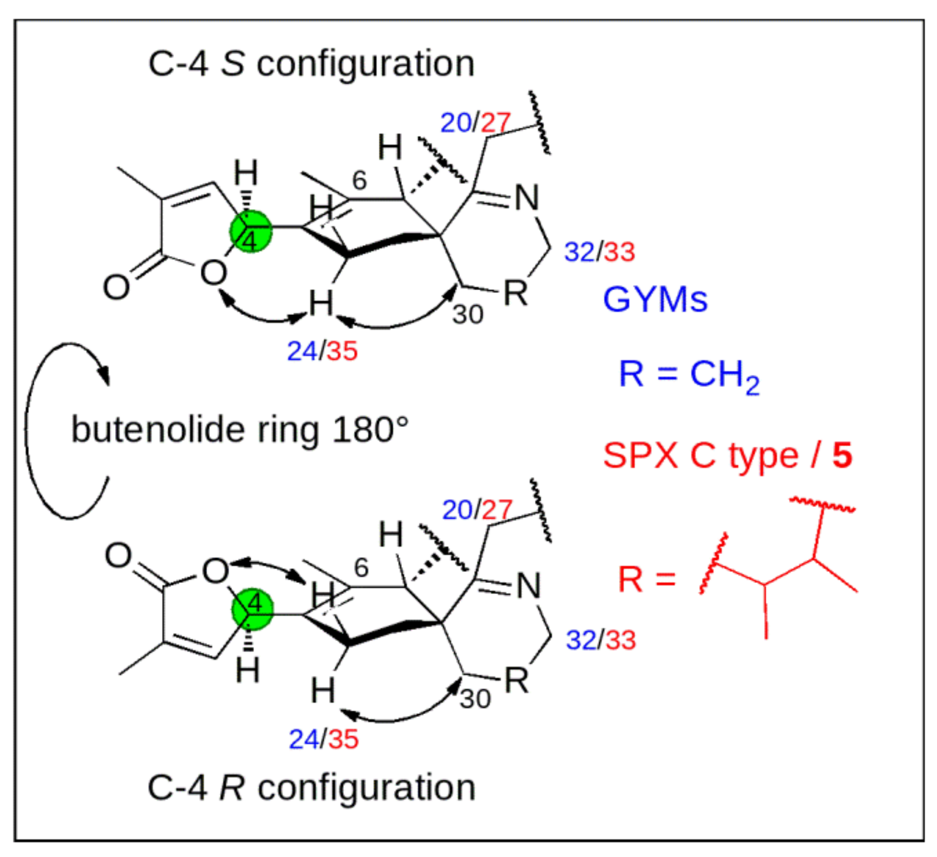 Toxins 12 00685 g002