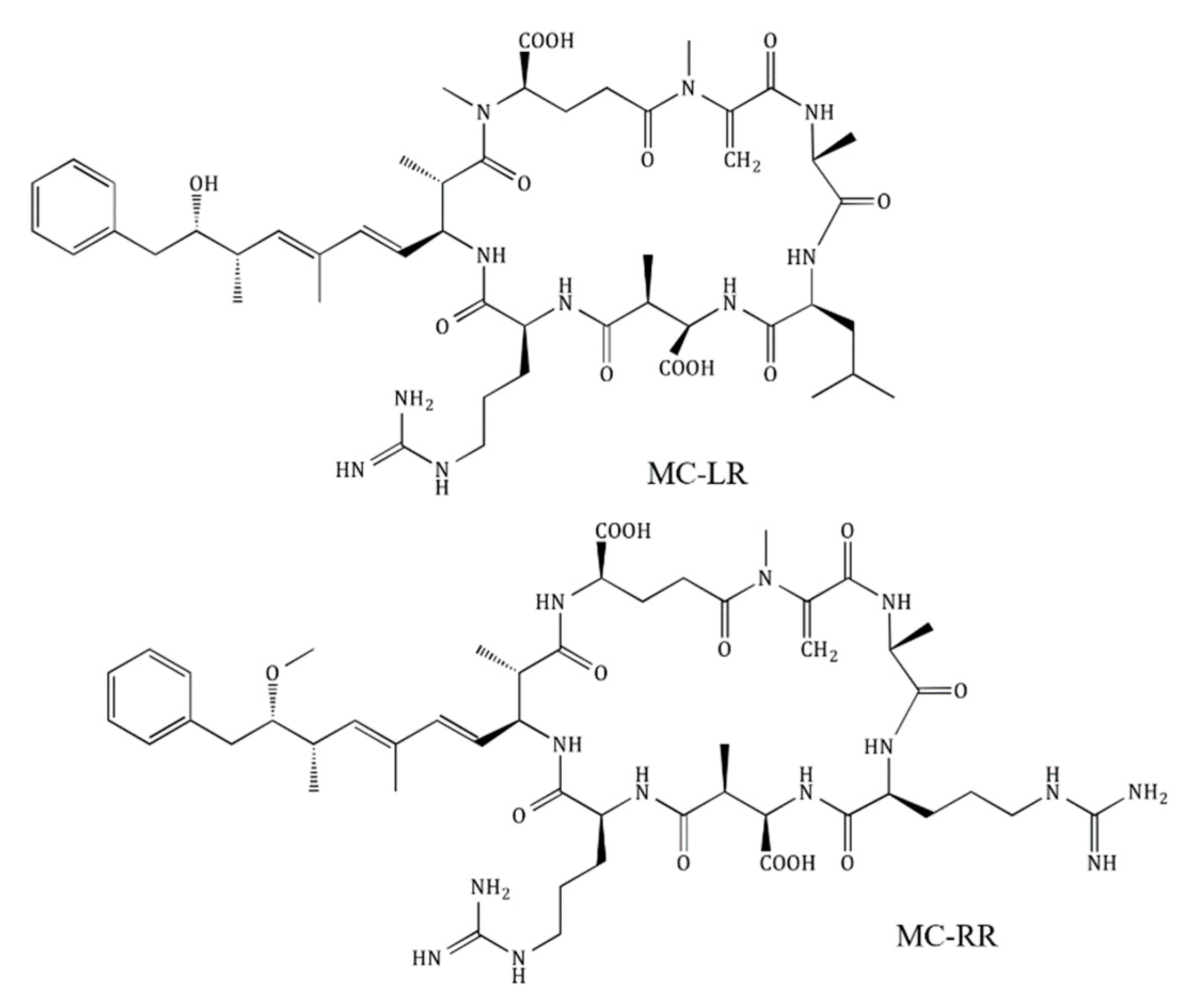 Toxins 12 00688 g001