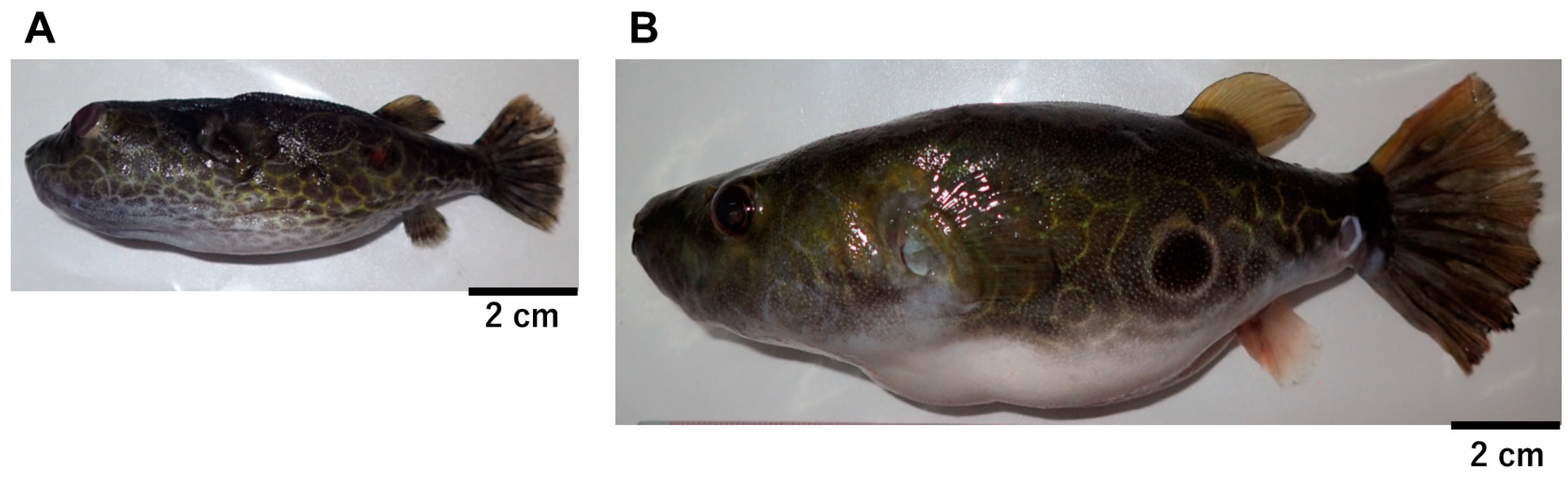 Toxins 12 00689 g002 Toxins 12 00689 g002