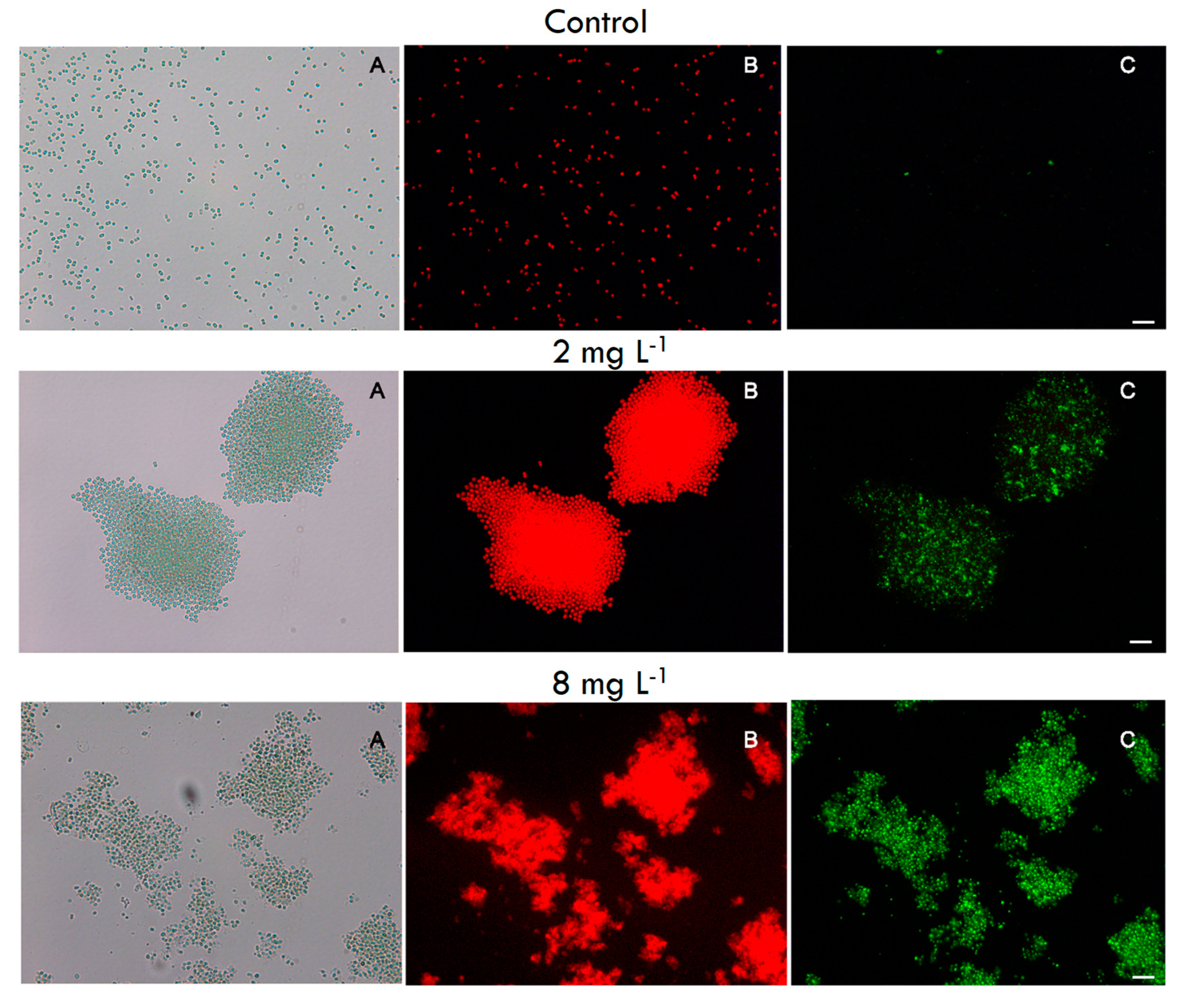 Toxins 12 00711 g004