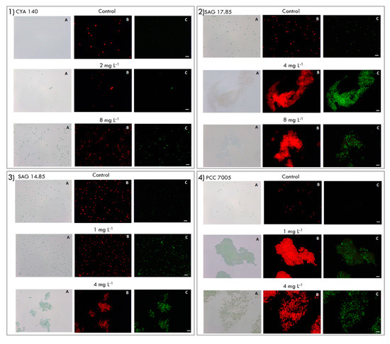 Toxins 12 00711 g0a5