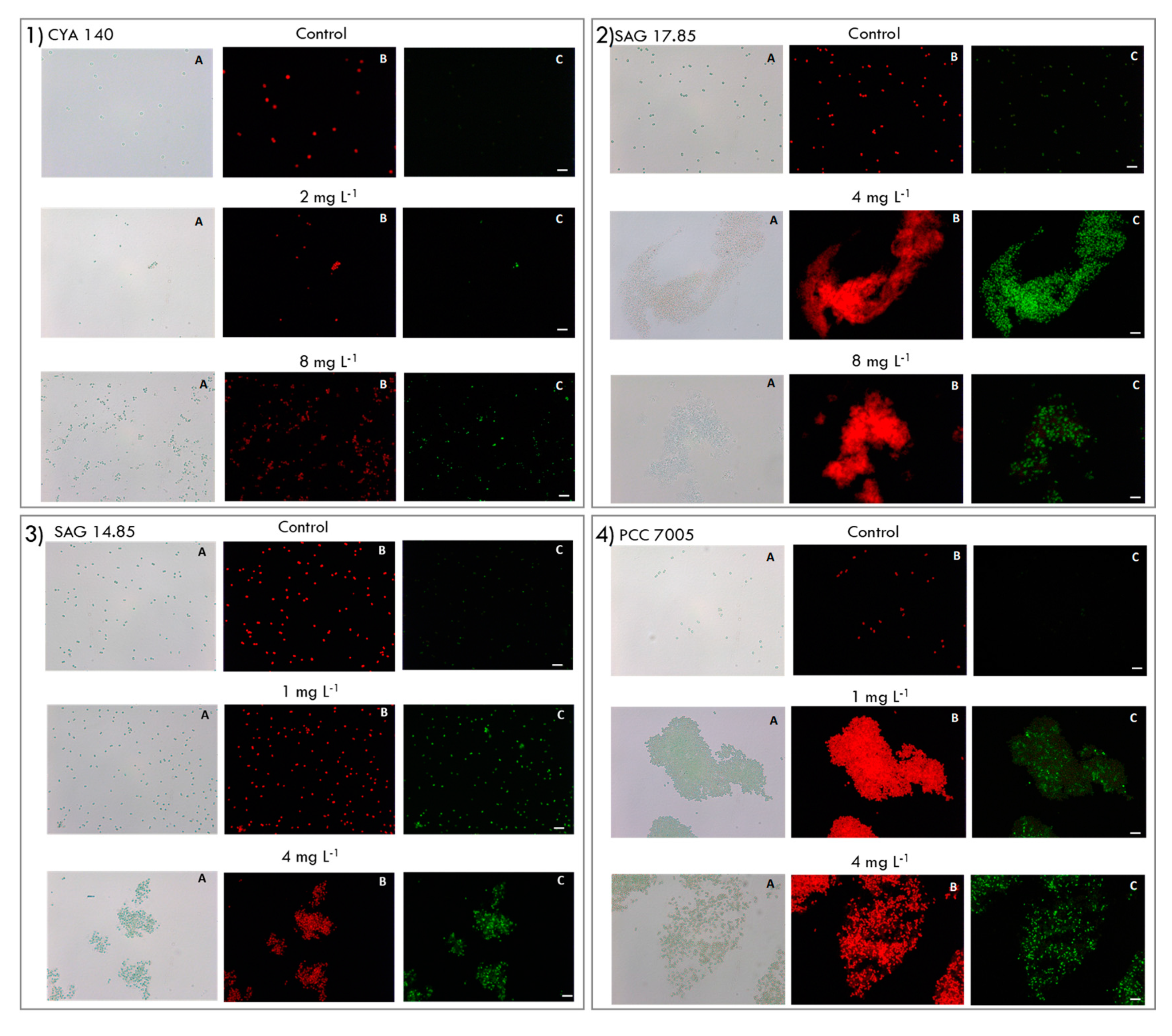 Toxins 12 00711 g0a5