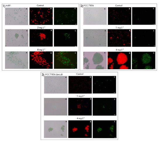Toxins 12 00711 g0a6