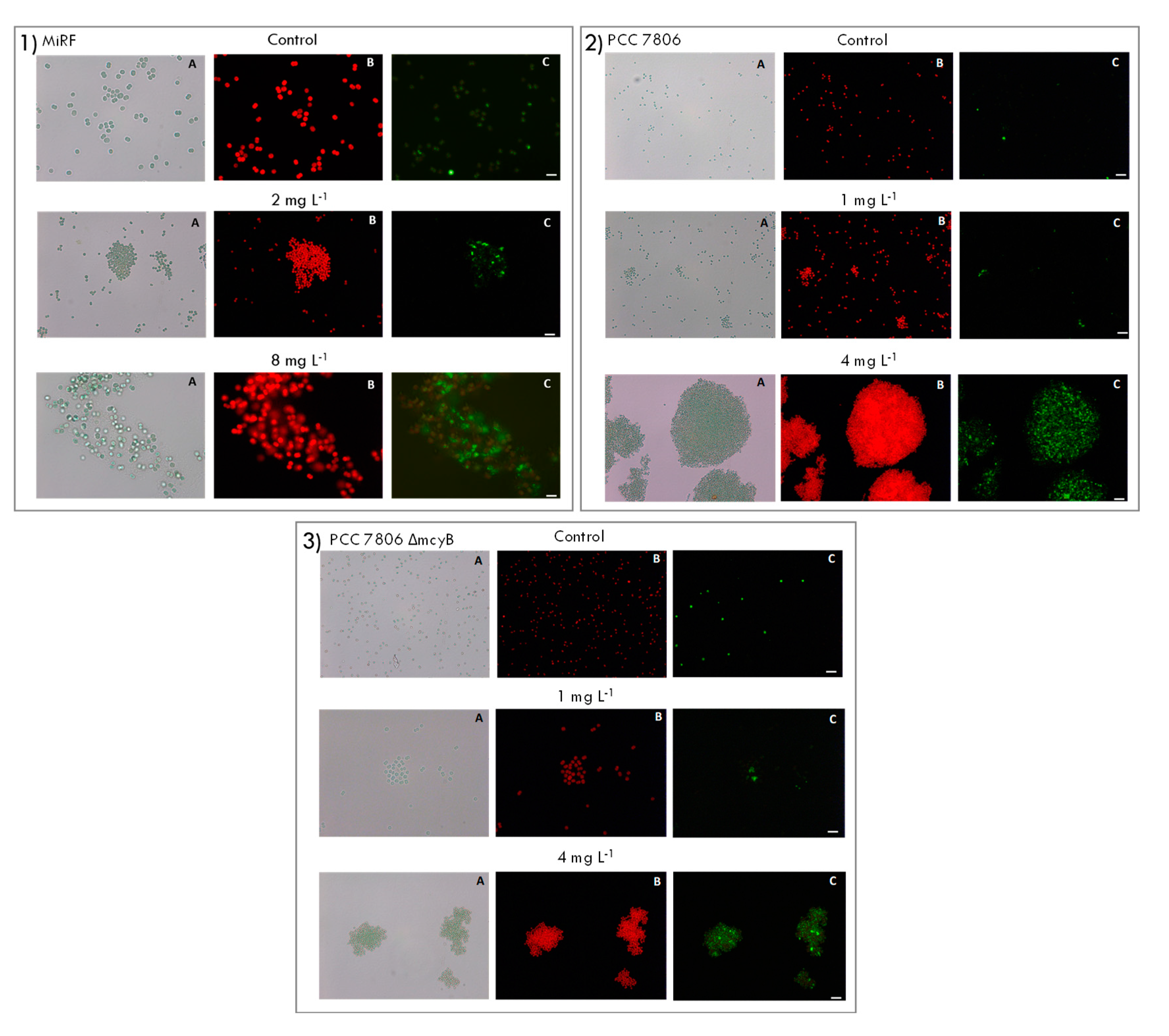Toxins 12 00711 g0a6