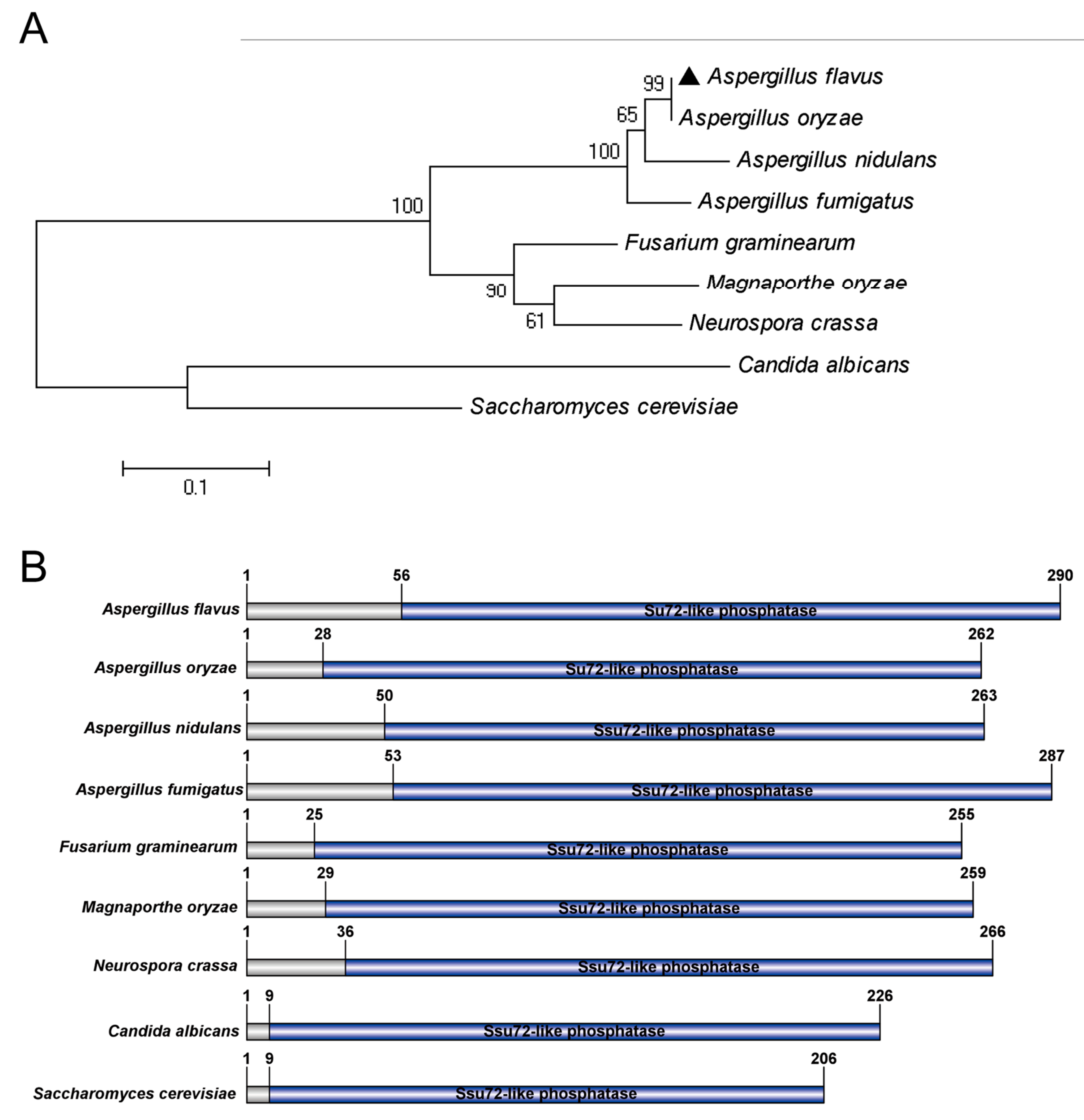 Toxins 12 00717 g001