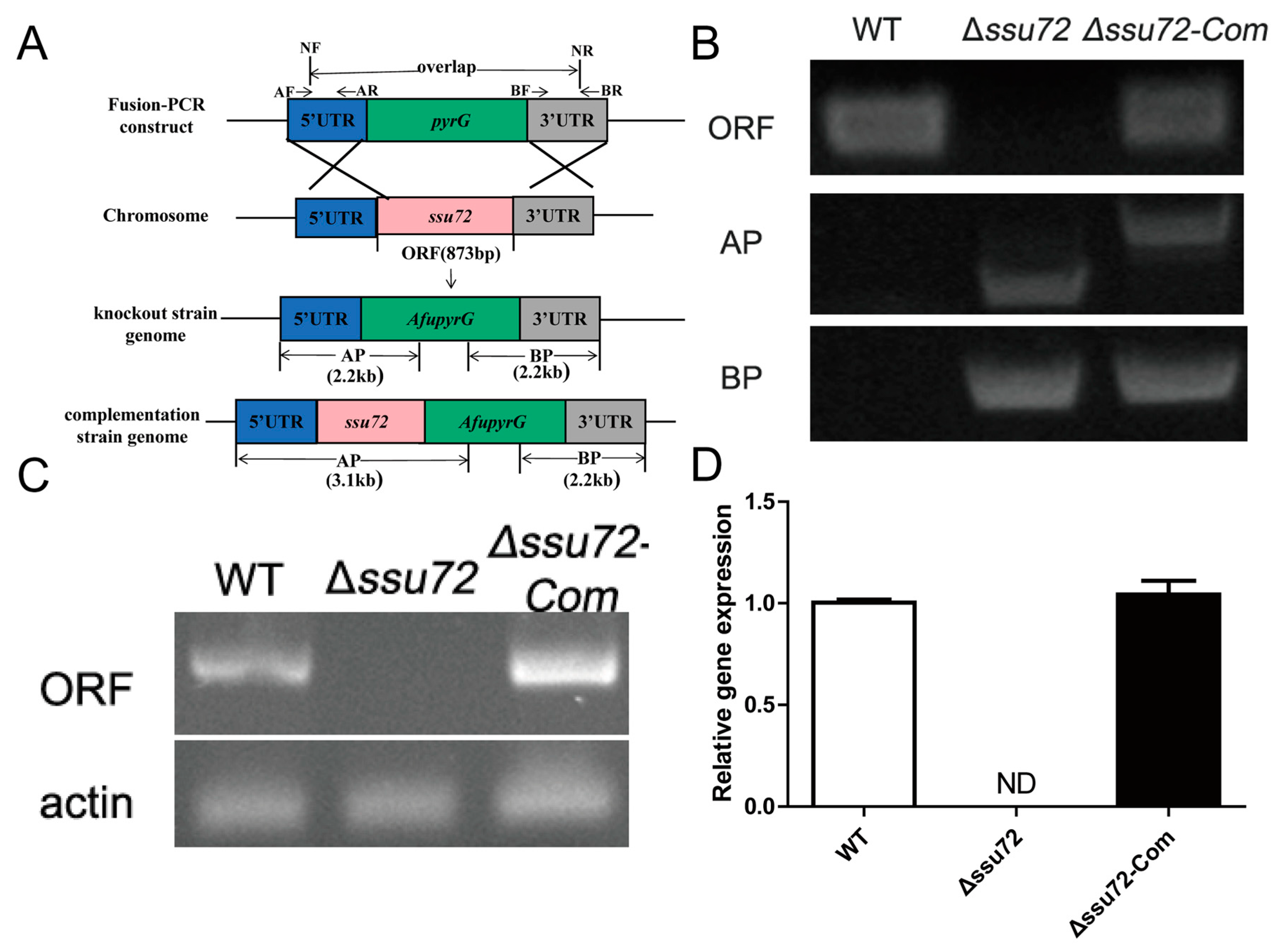 Toxins 12 00717 g002