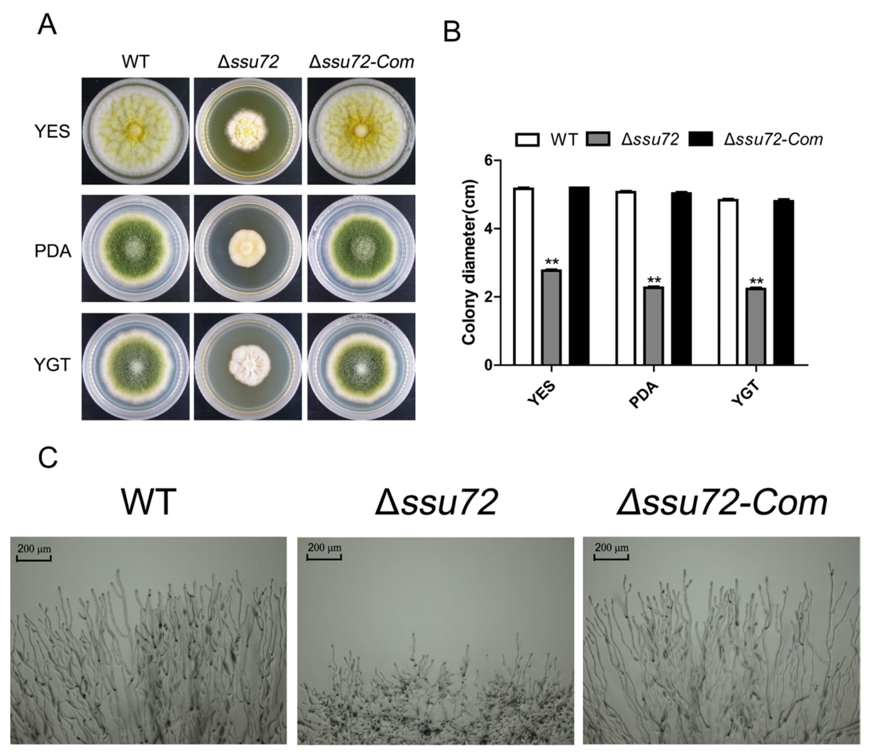 Toxins 12 00717 g003