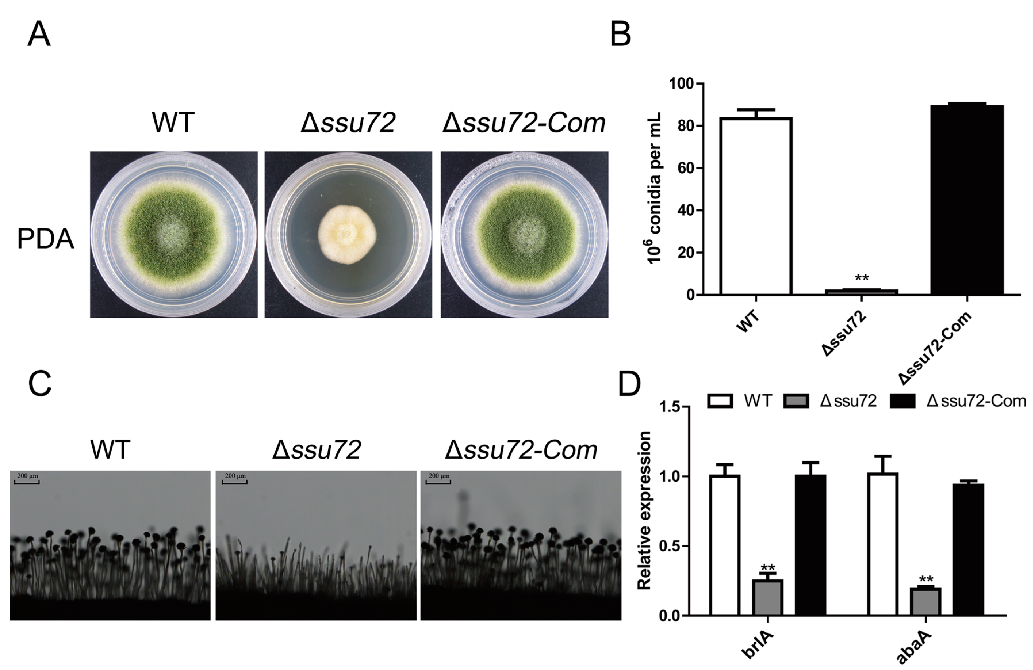 Toxins 12 00717 g004