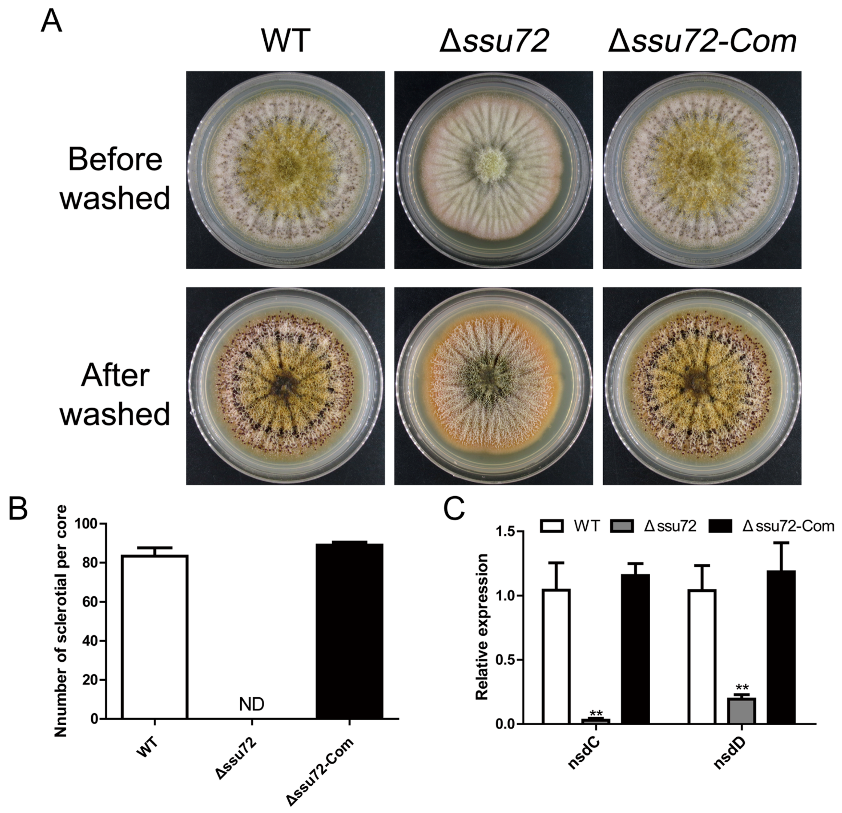 Toxins 12 00717 g005