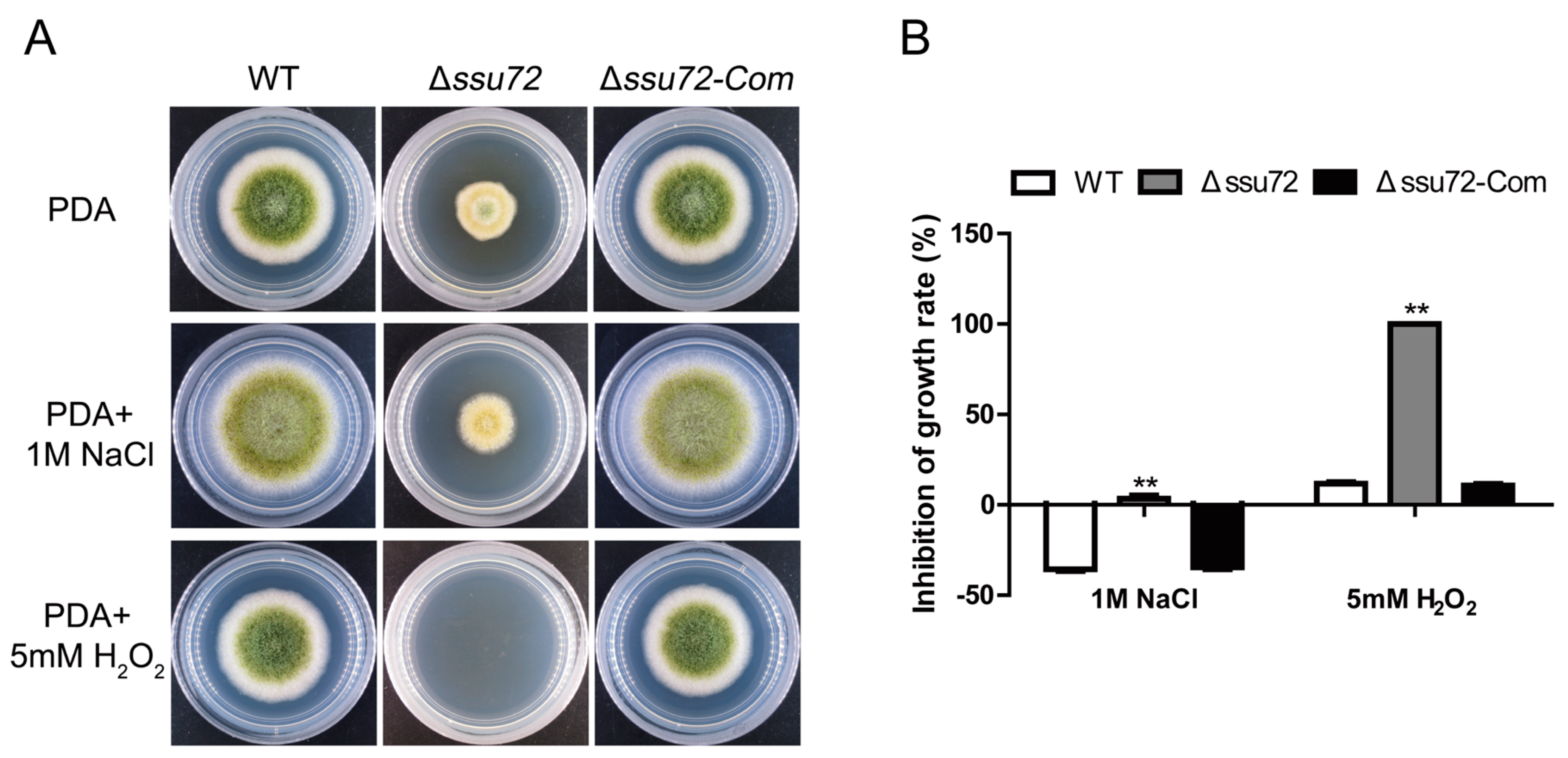 Toxins 12 00717 g008