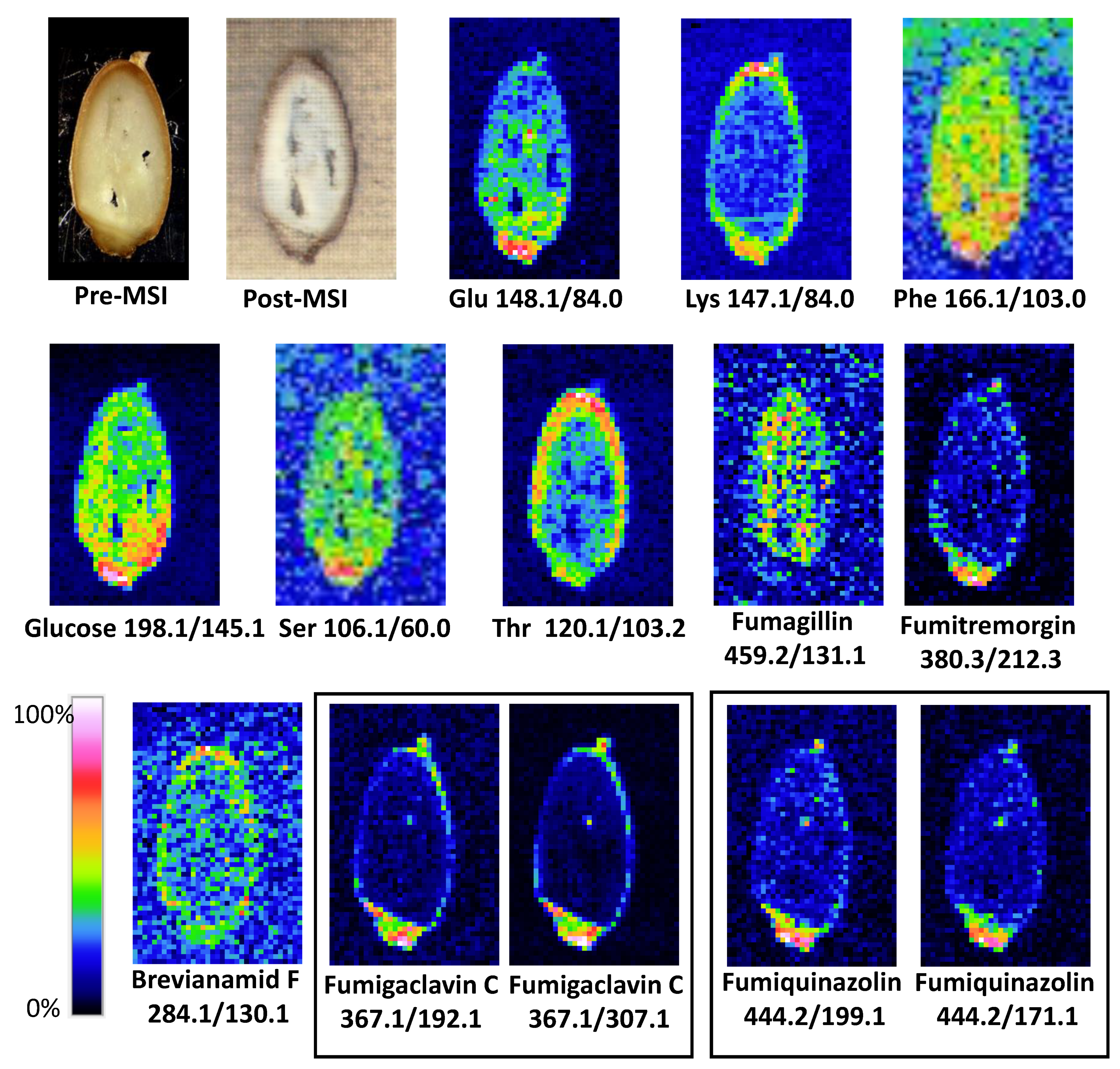 Toxins 12 00720 g002
