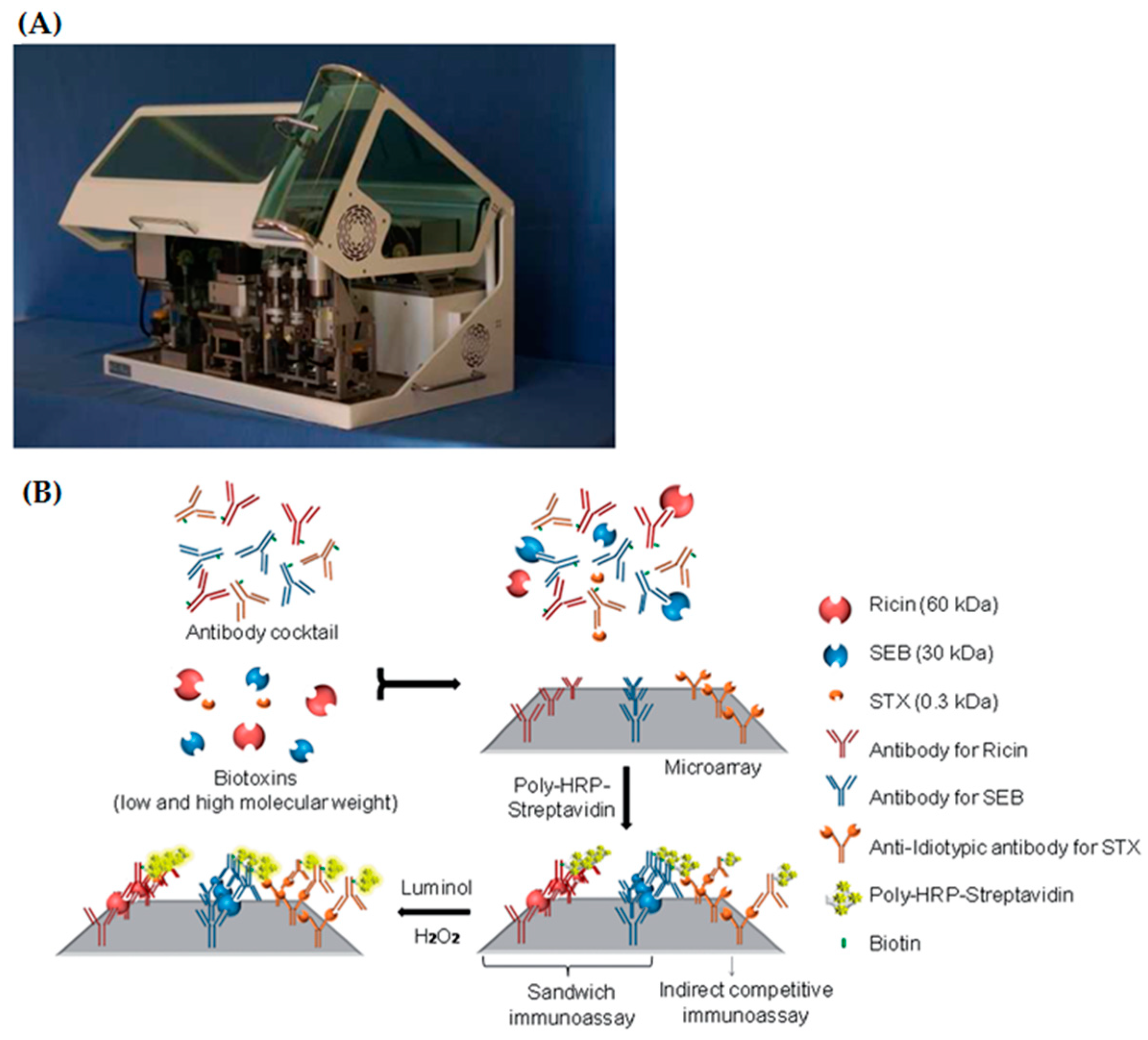 Toxins 12 00727 g005 Toxins 12 00727 g005