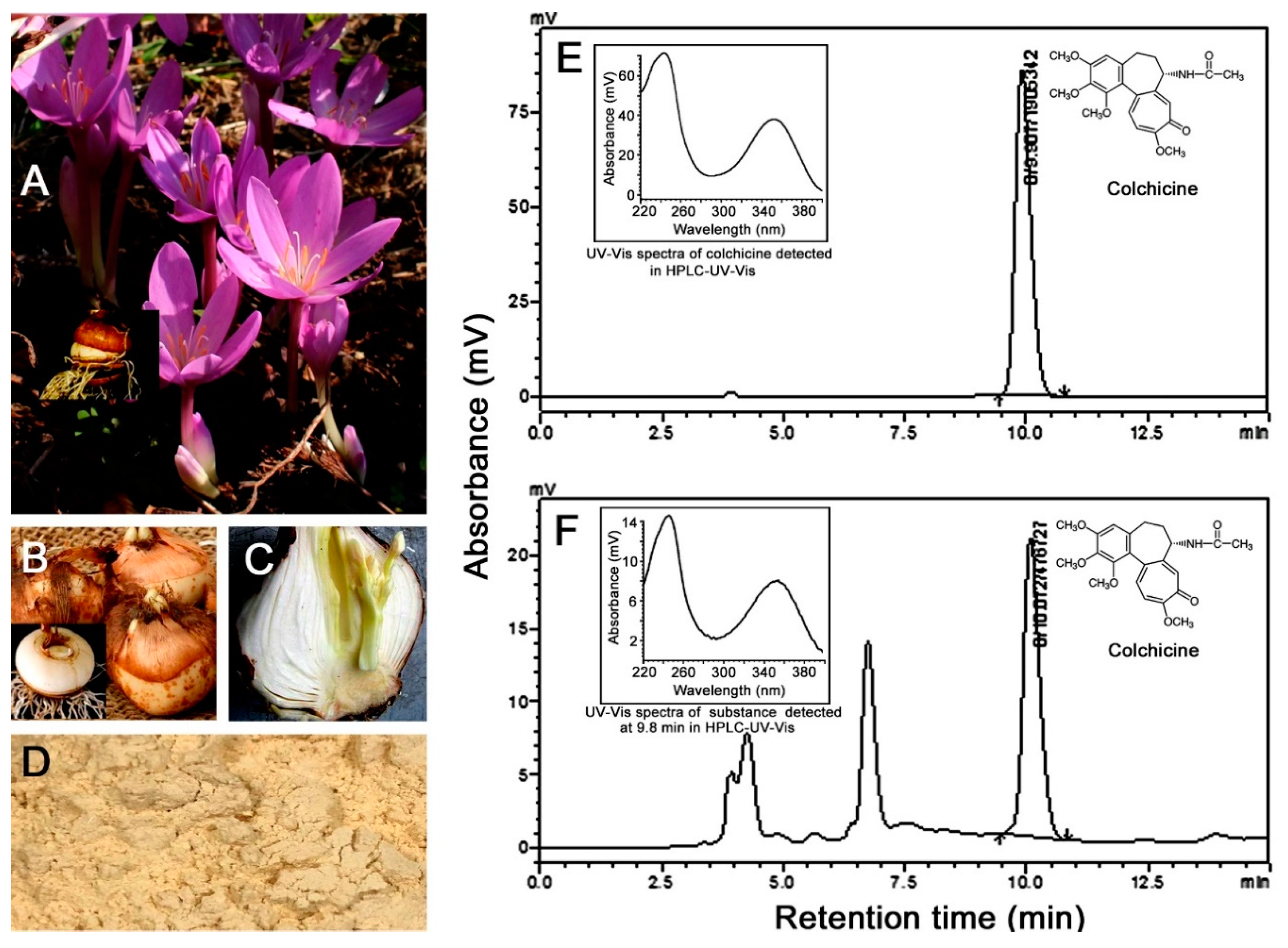 Toxins 12 00731 g001