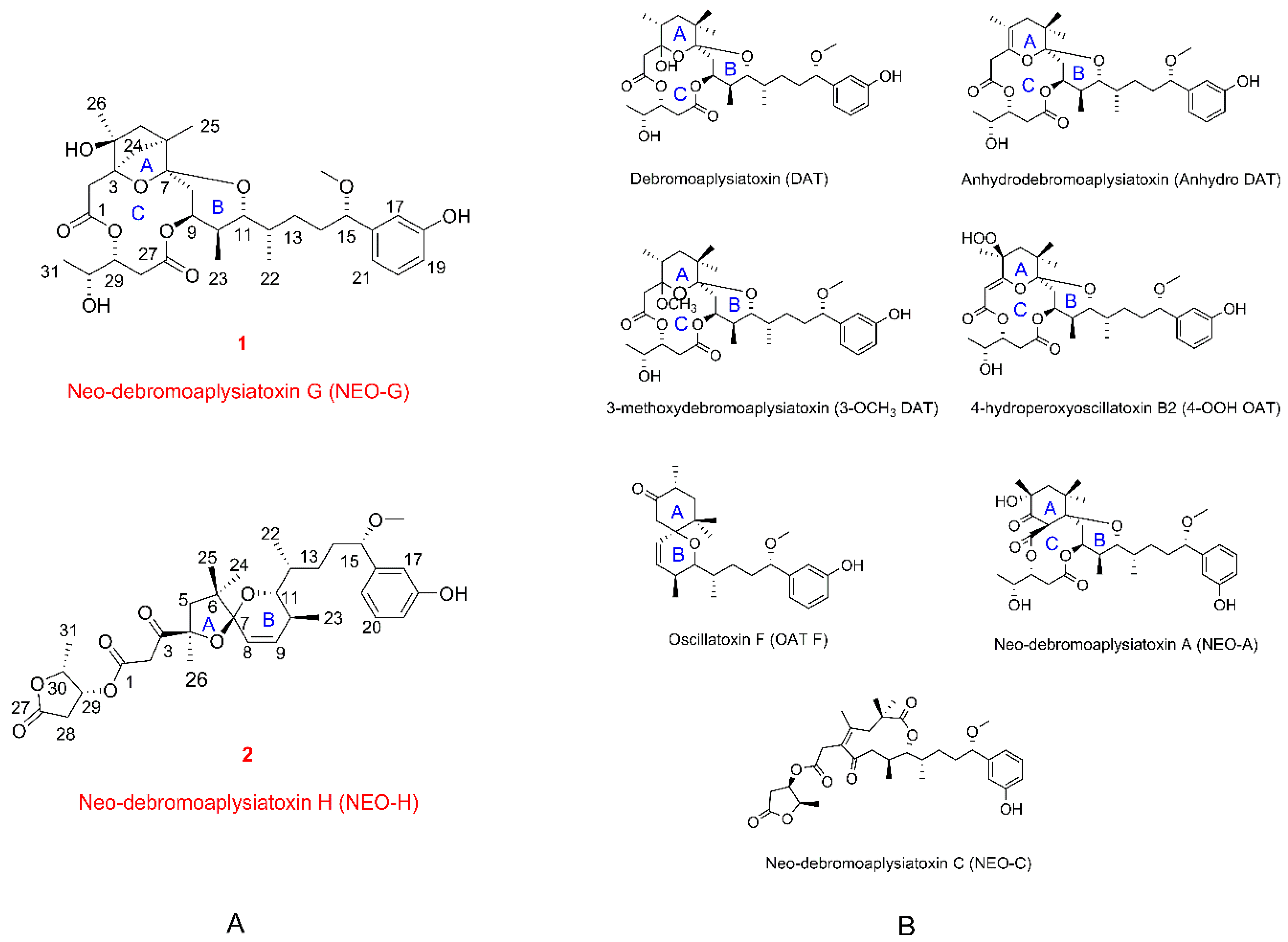 Toxins 12 00733 g001