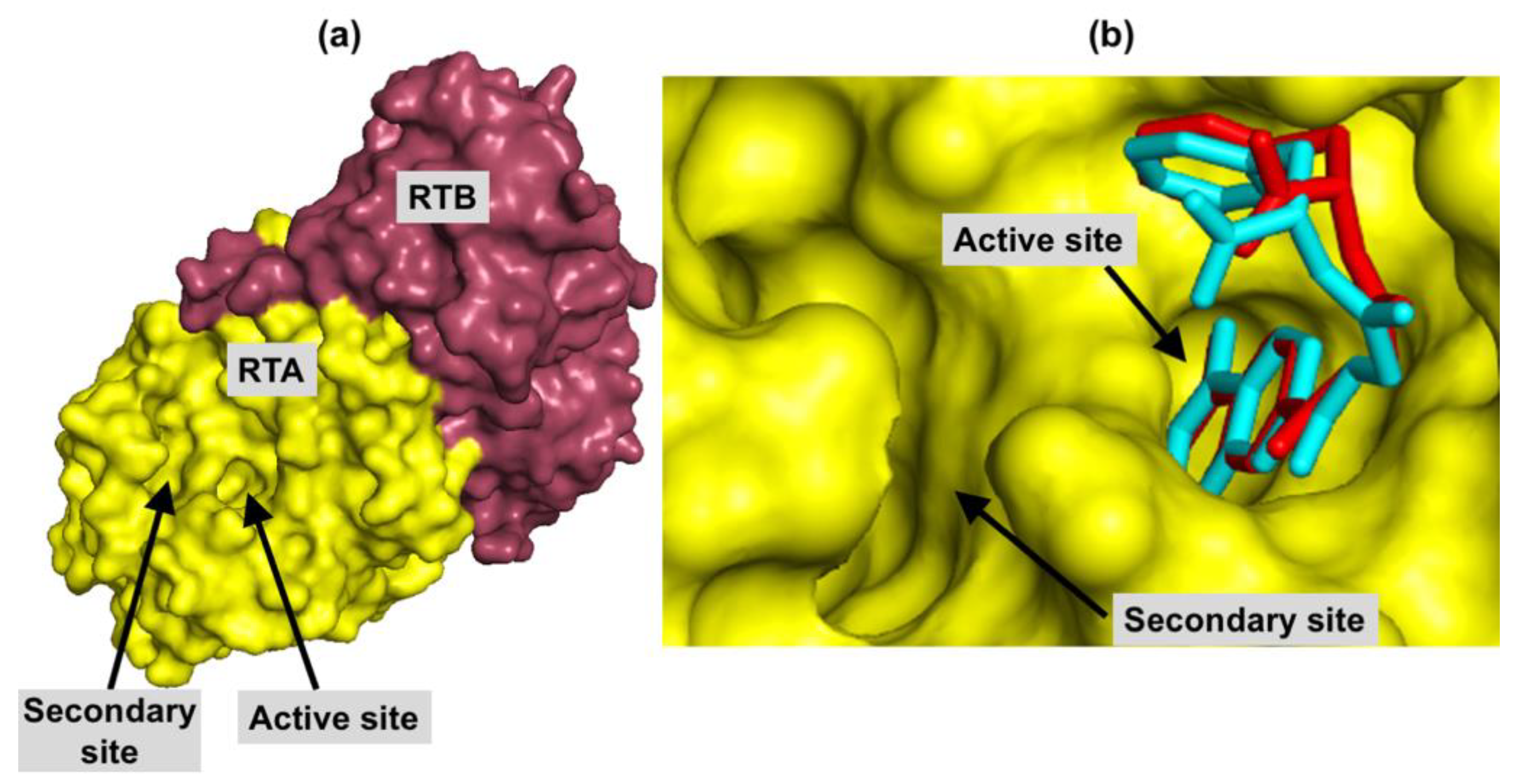 Toxins 12 00746 g001