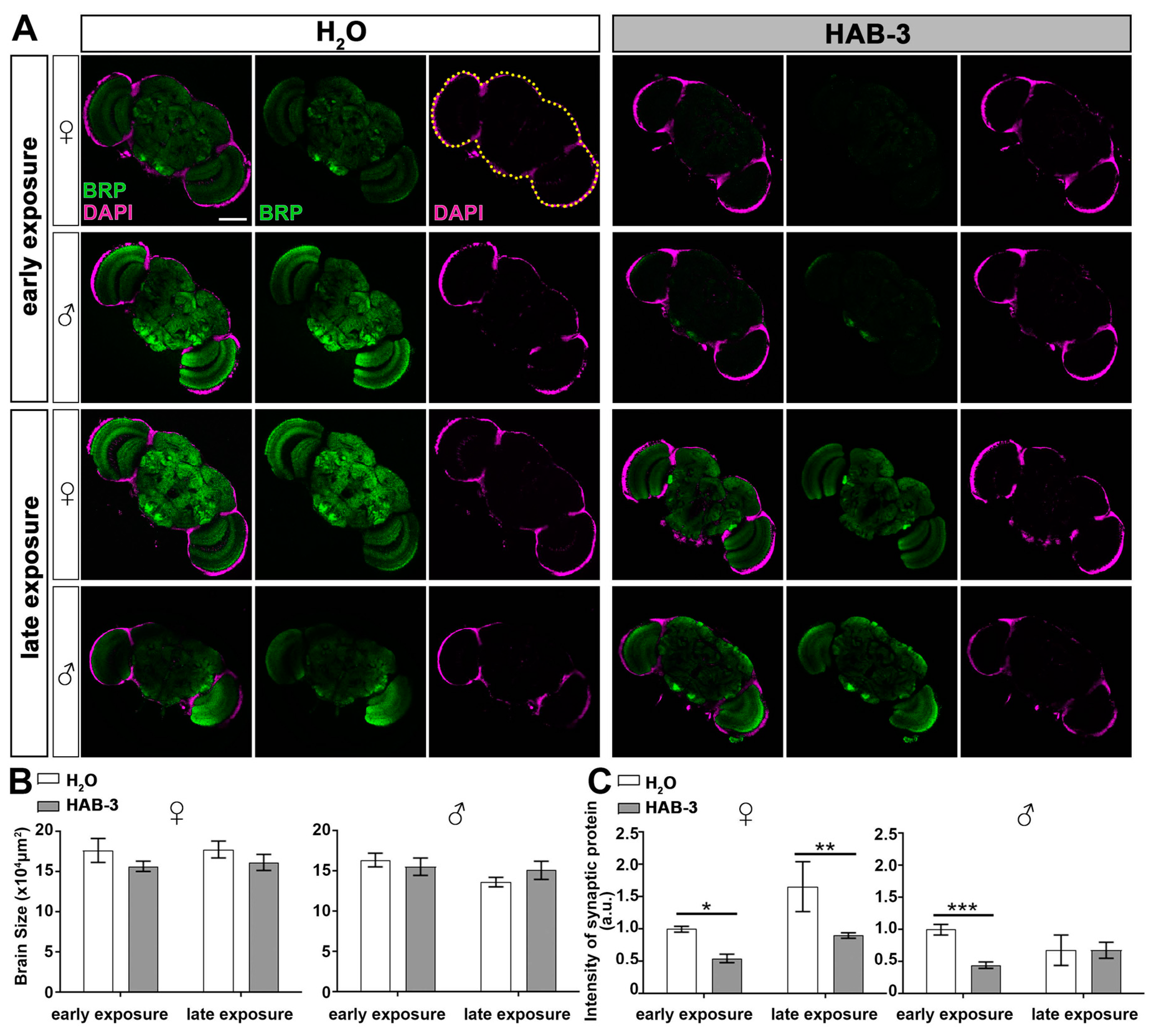 Toxins 12 00787 g004
