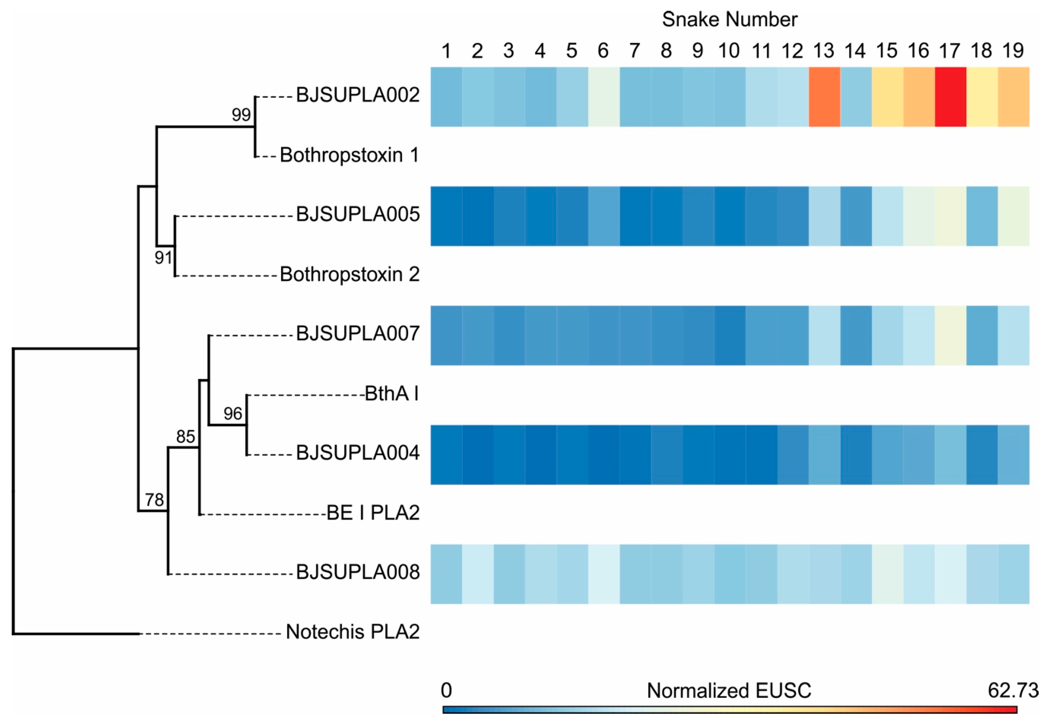 Toxins 12 00791 g003 Toxins 12 00791 g003