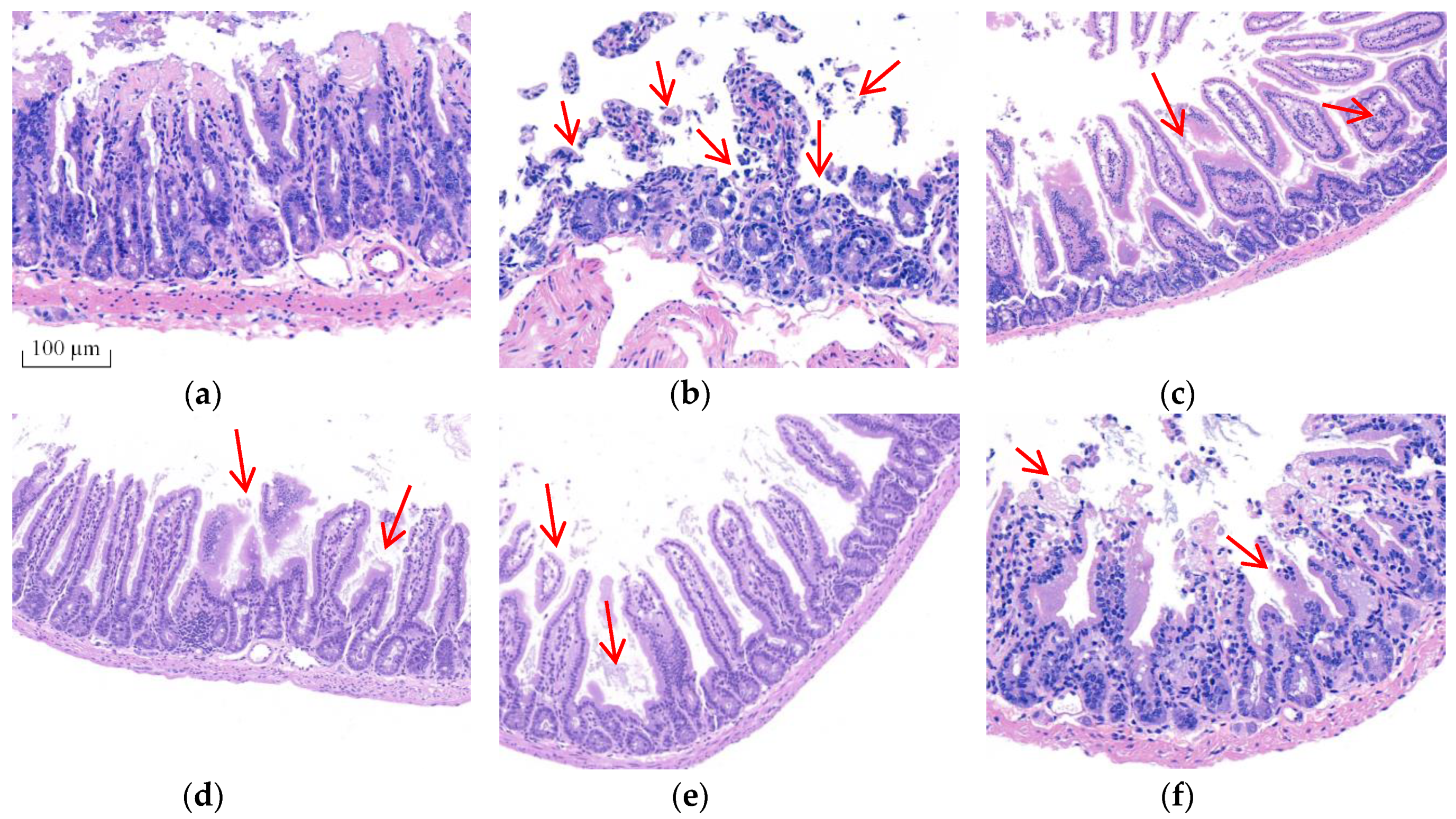 Toxins 12 00794 g002