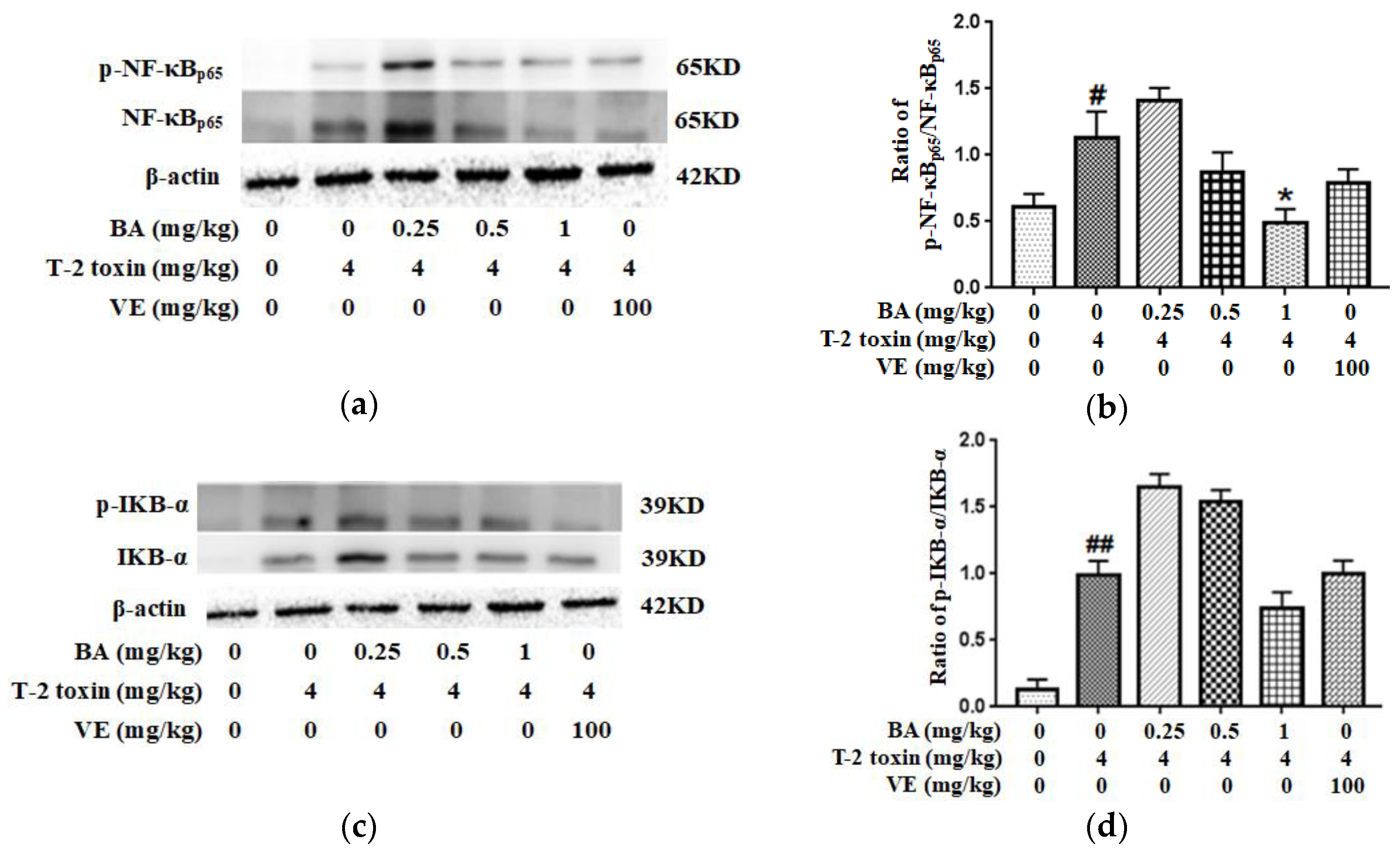 Toxins 12 00794 g007