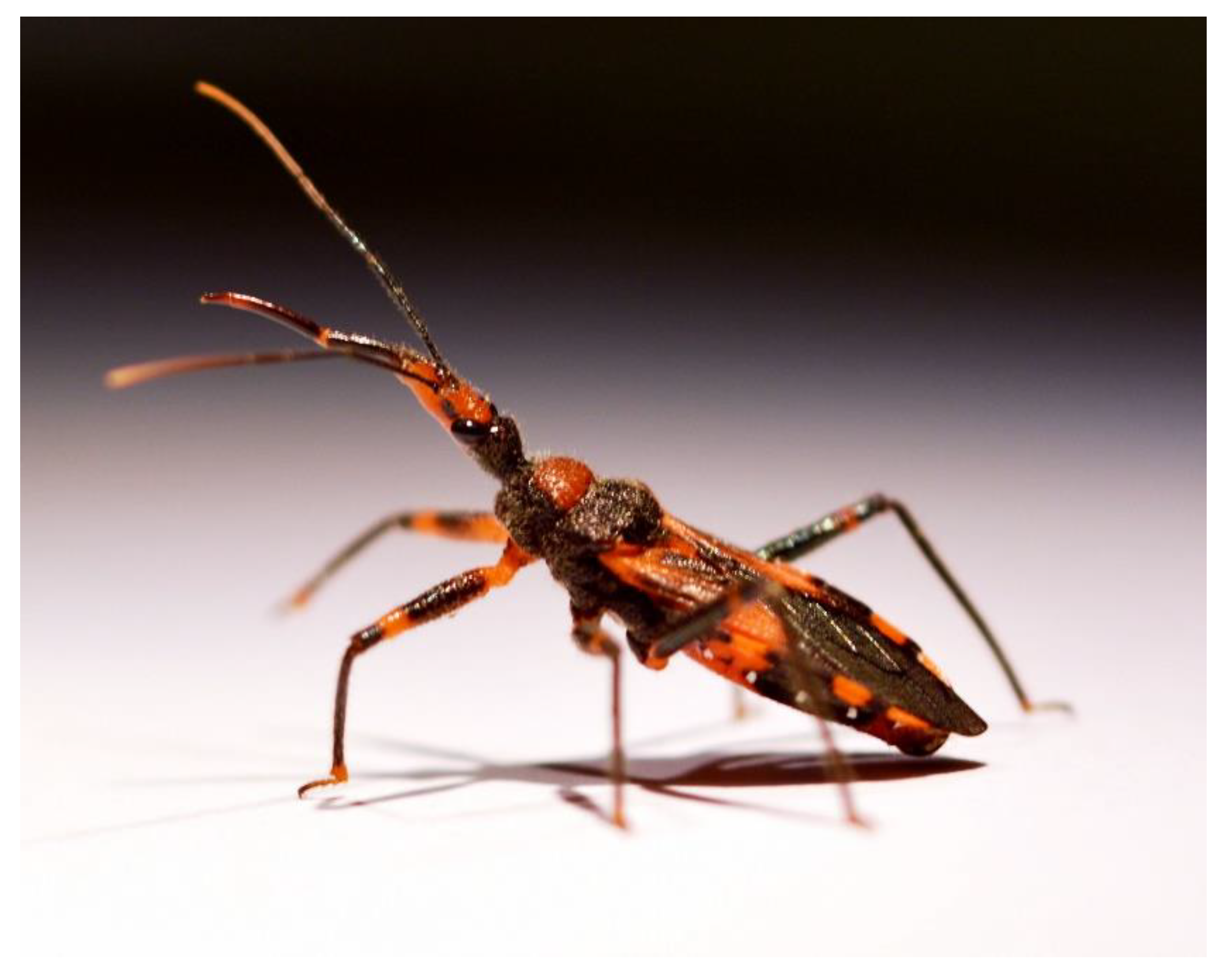 Toxins 13 00003 g001 Toxins 13 00003 g001