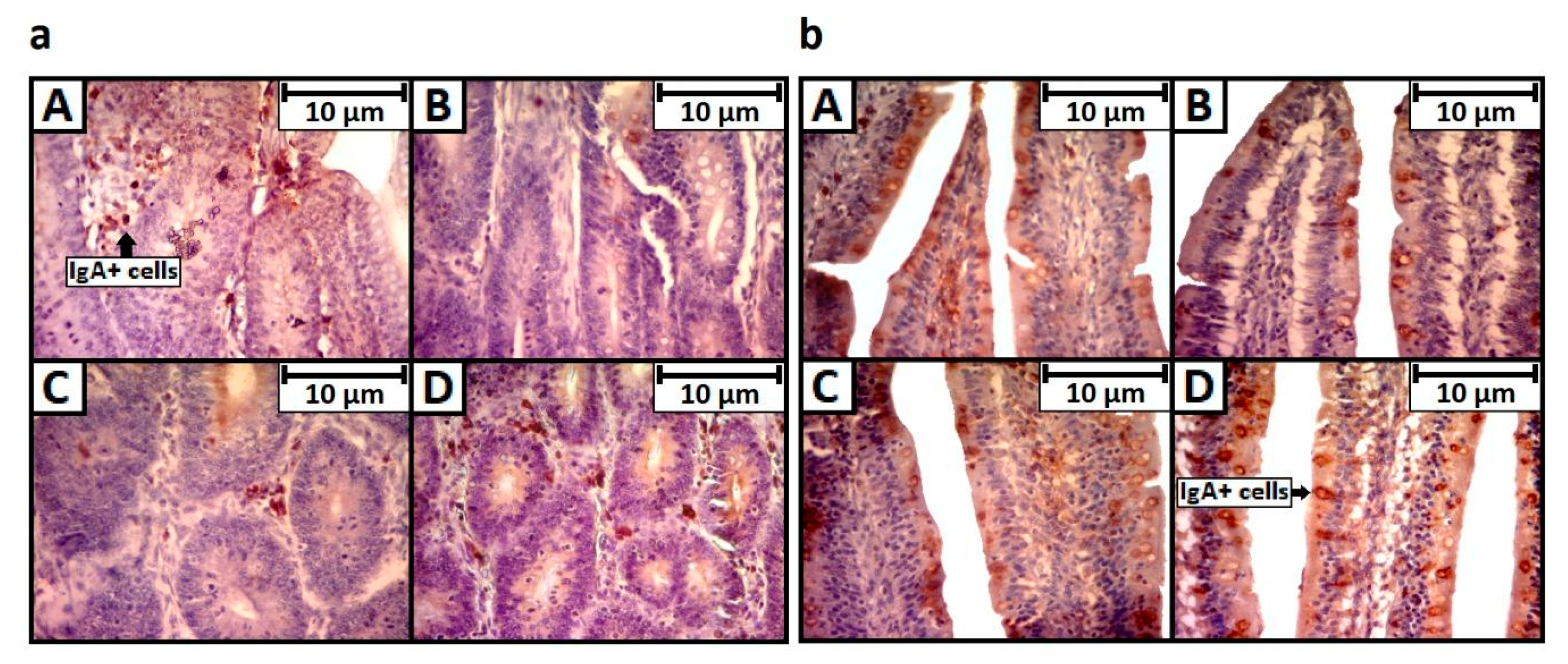 Toxins 13 00005 g004 Toxins 13 00005 g004