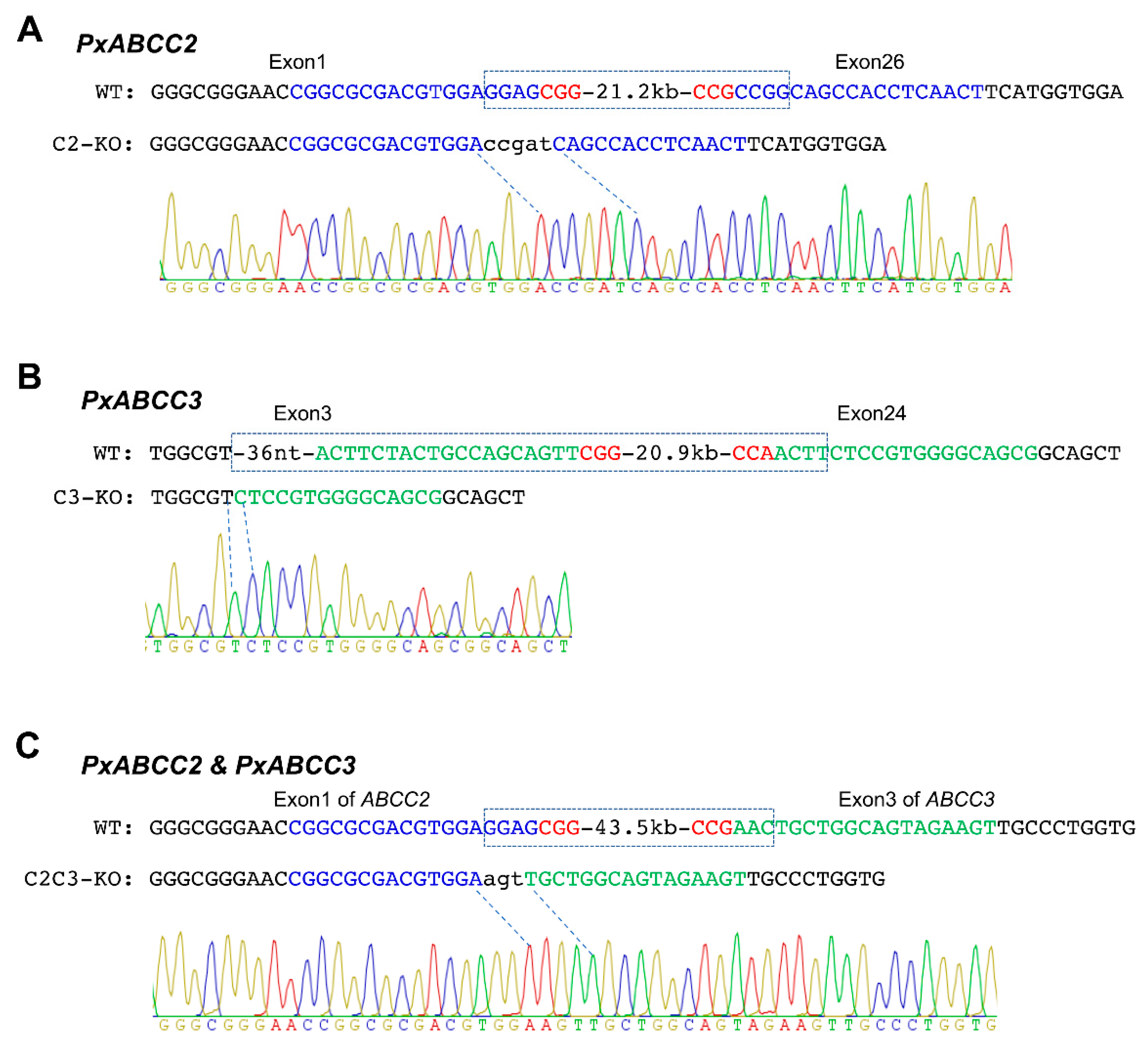 Toxins 13 00009 g003 Toxins 13 00009 g003