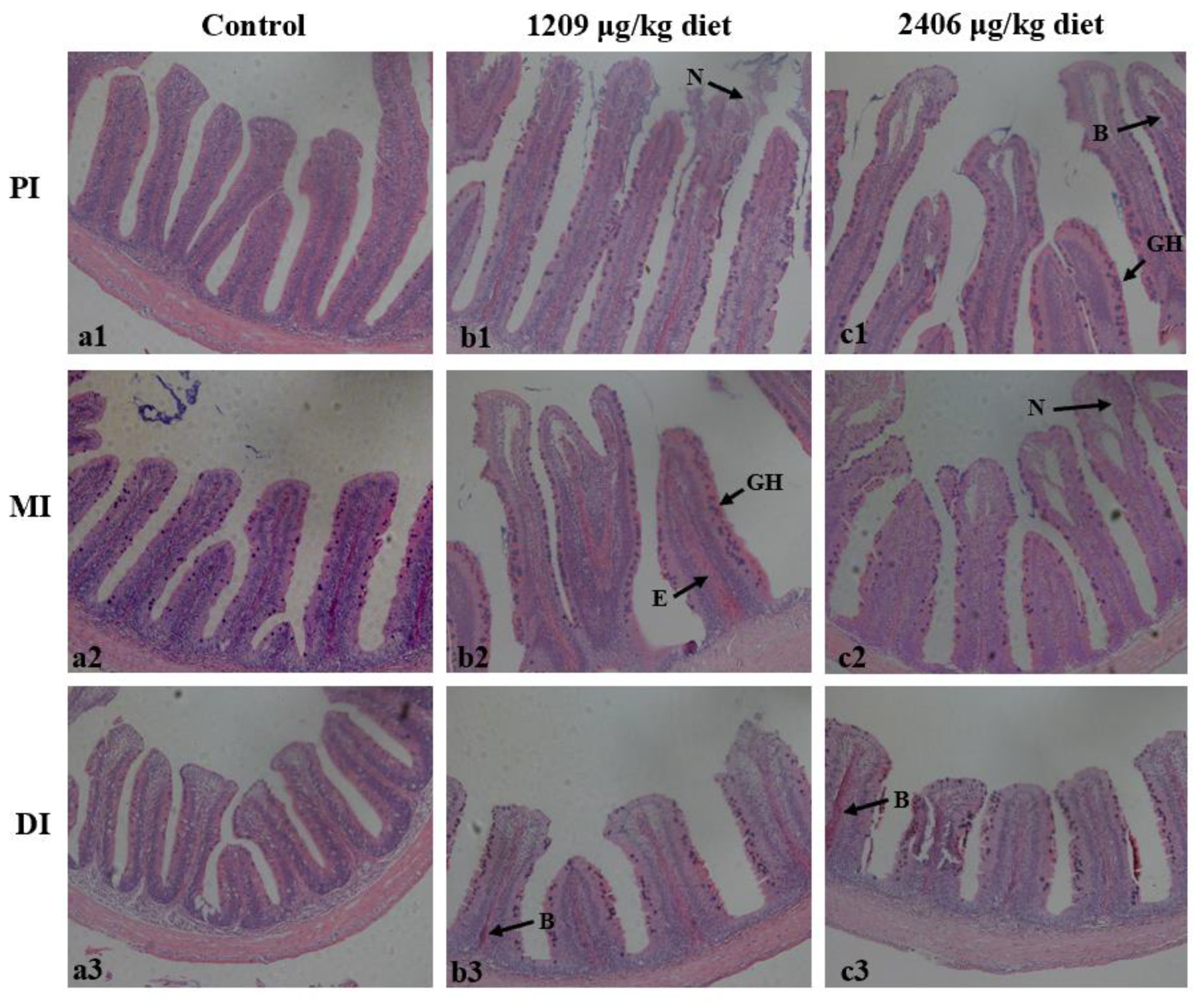 Toxins 13 00011 g003