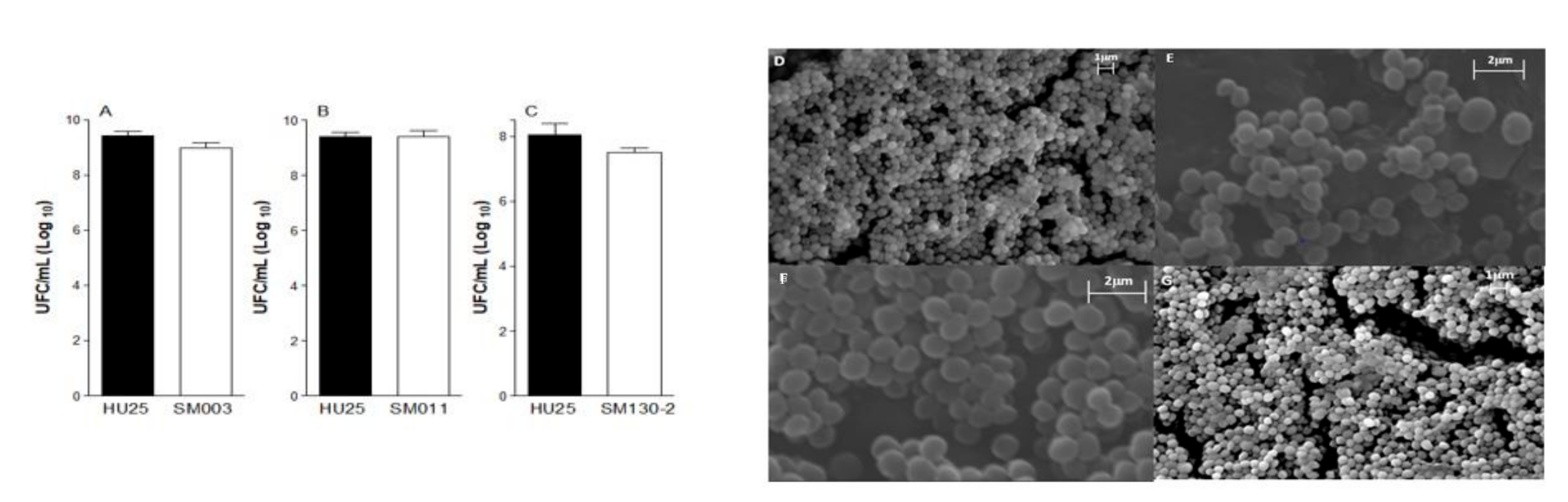 Toxins 13 00014 g003