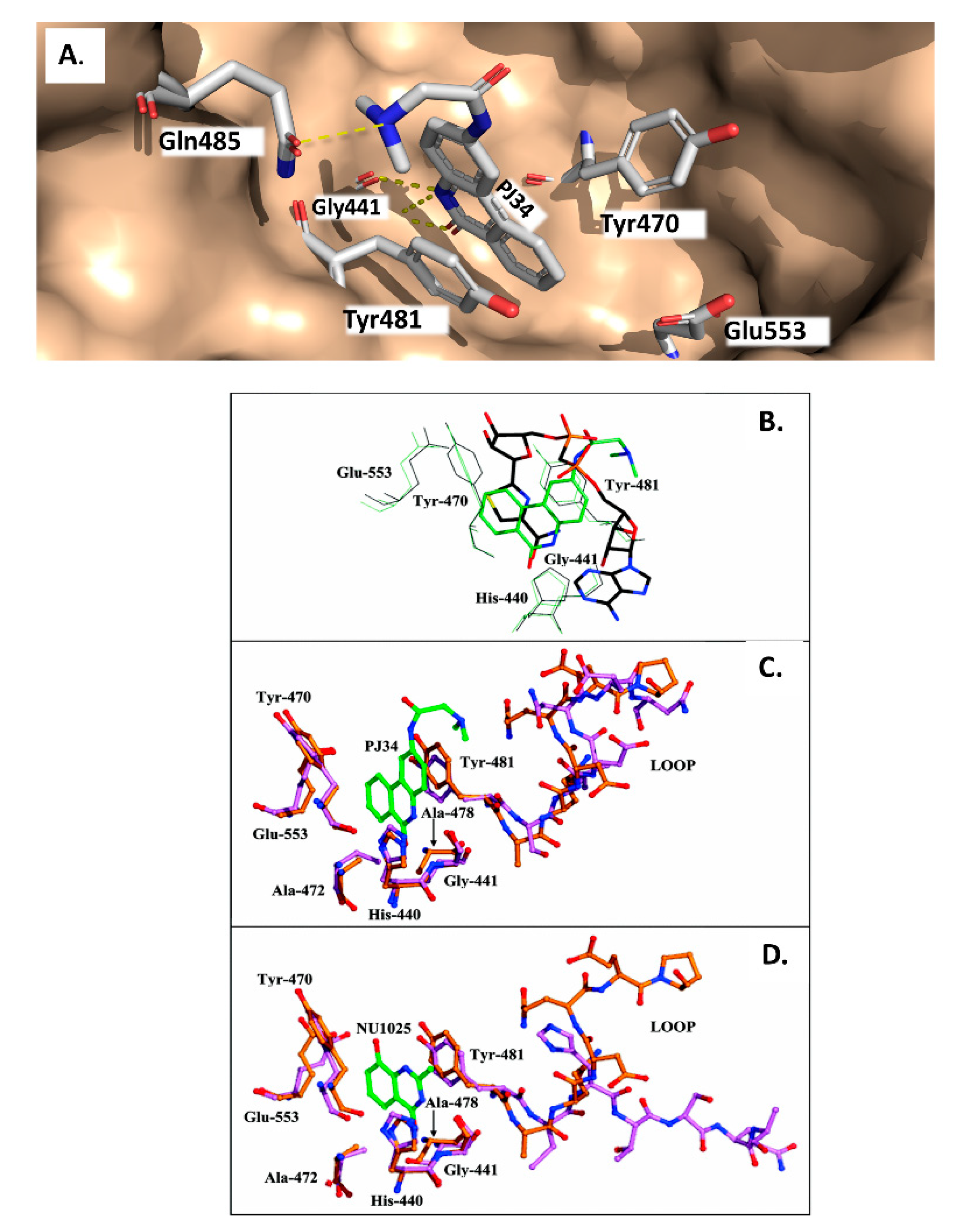 Toxins 13 00016 g005