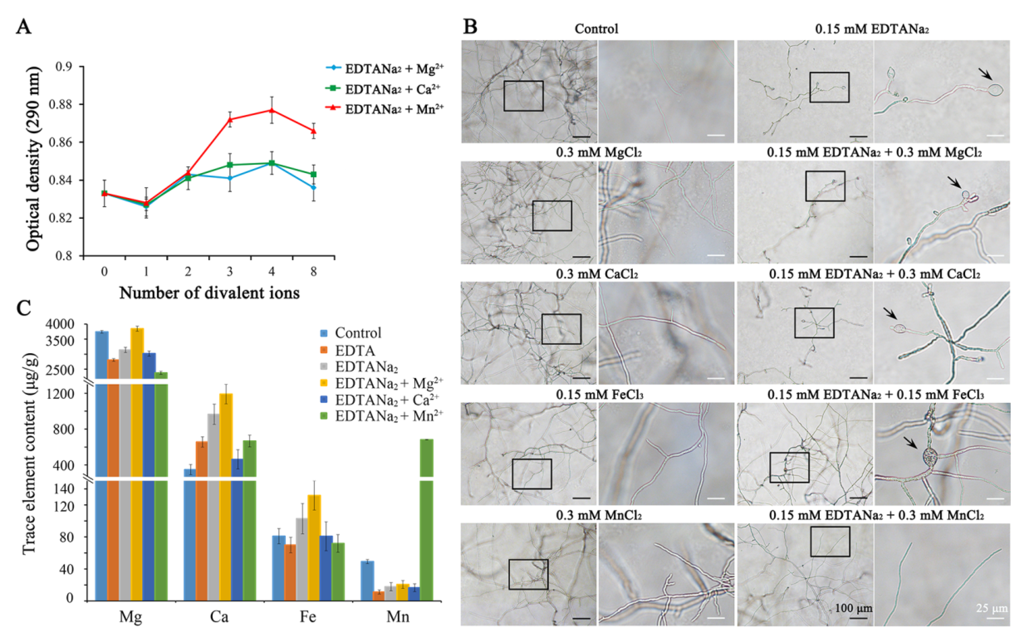 Toxins 13 00017 g005