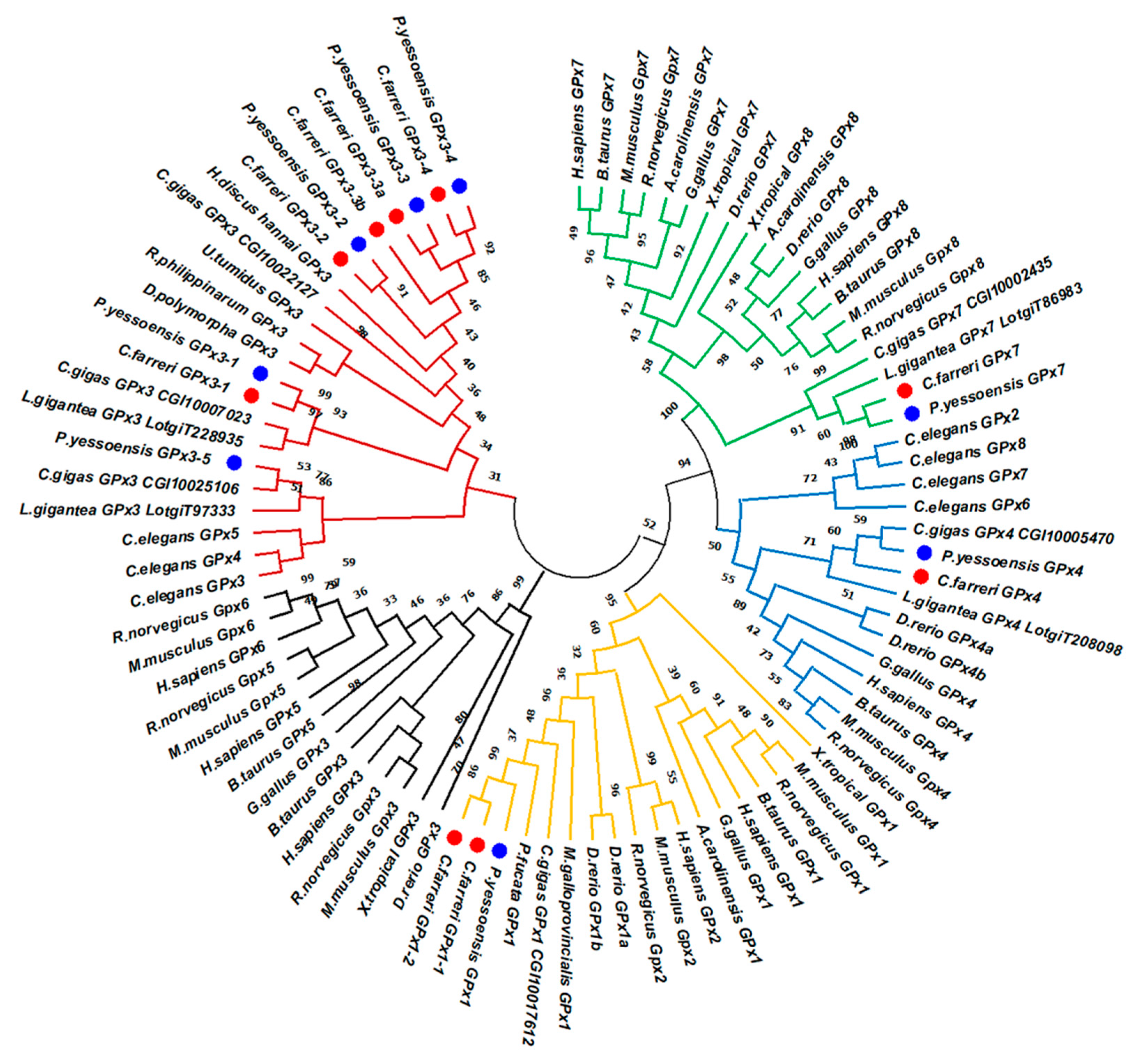 Toxins 13 00021 g002
