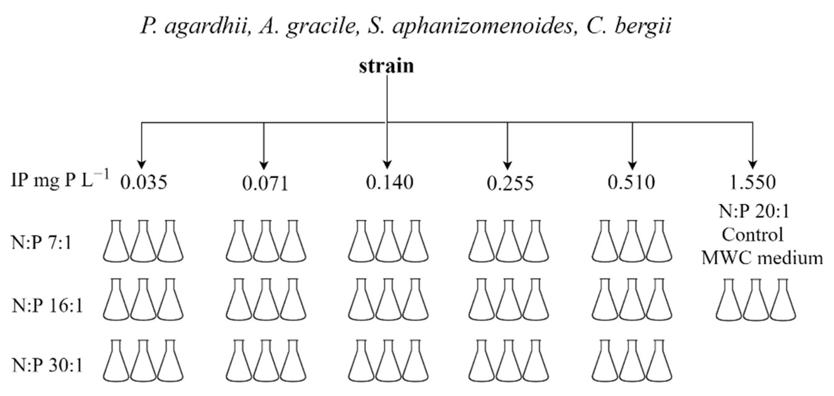 Toxins 13 00023 g006