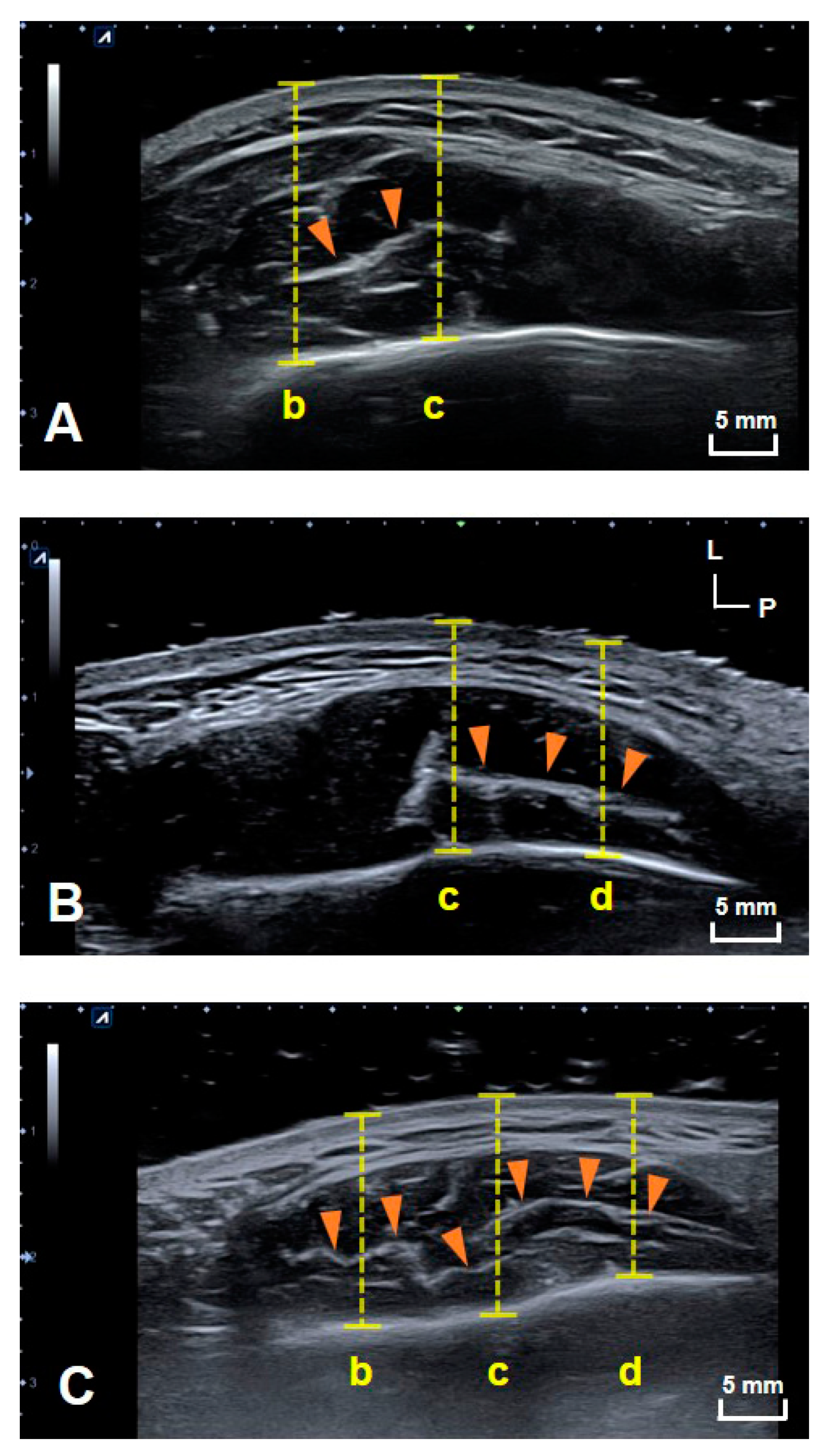 Toxins 13 00028 g001