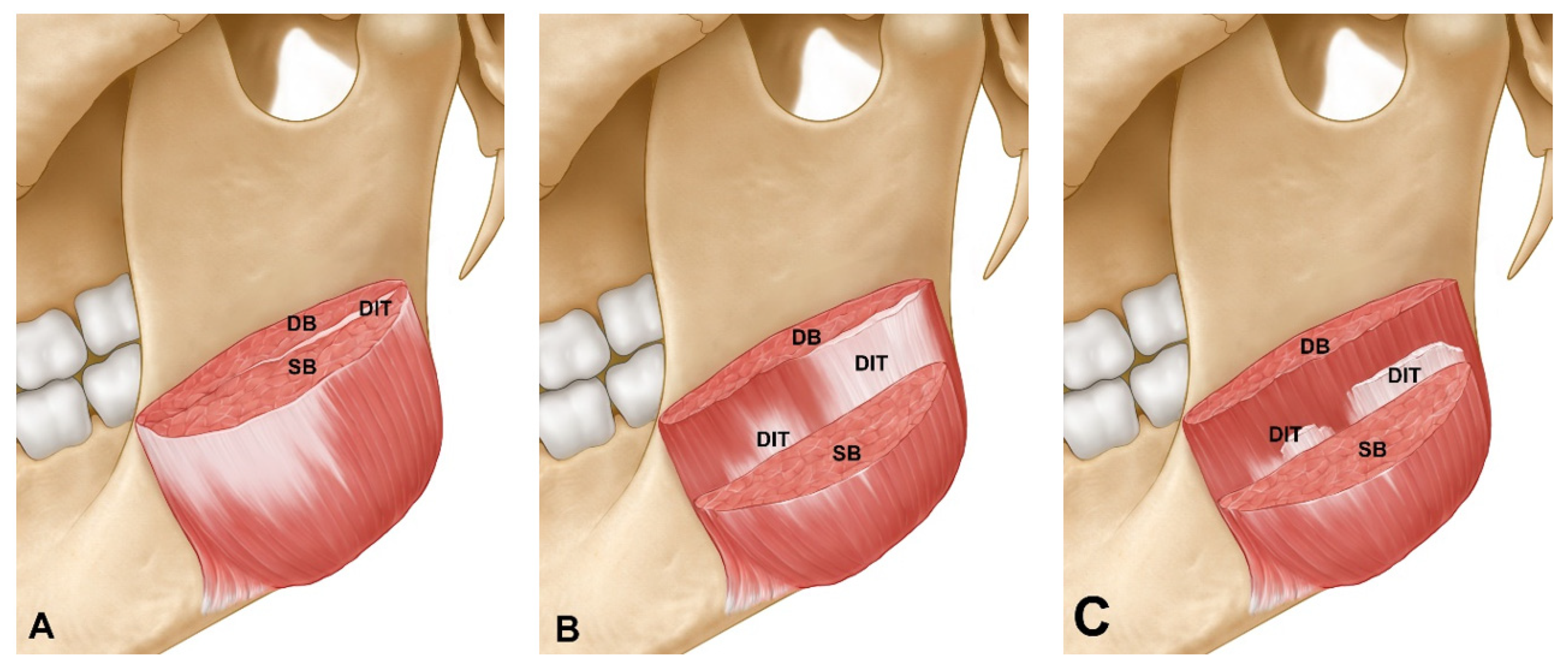 Toxins 13 00028 g003