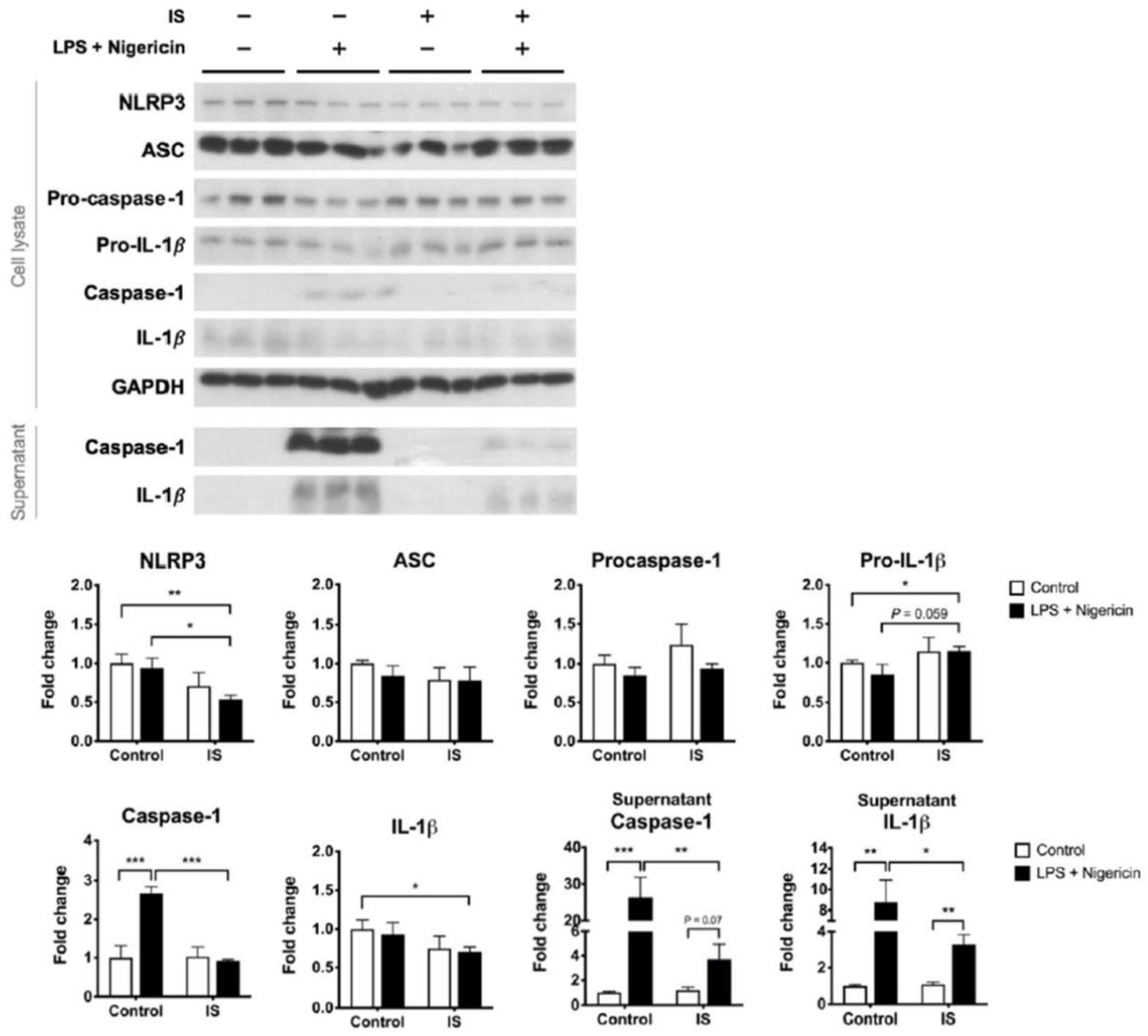 Toxins 13 00038 g004
