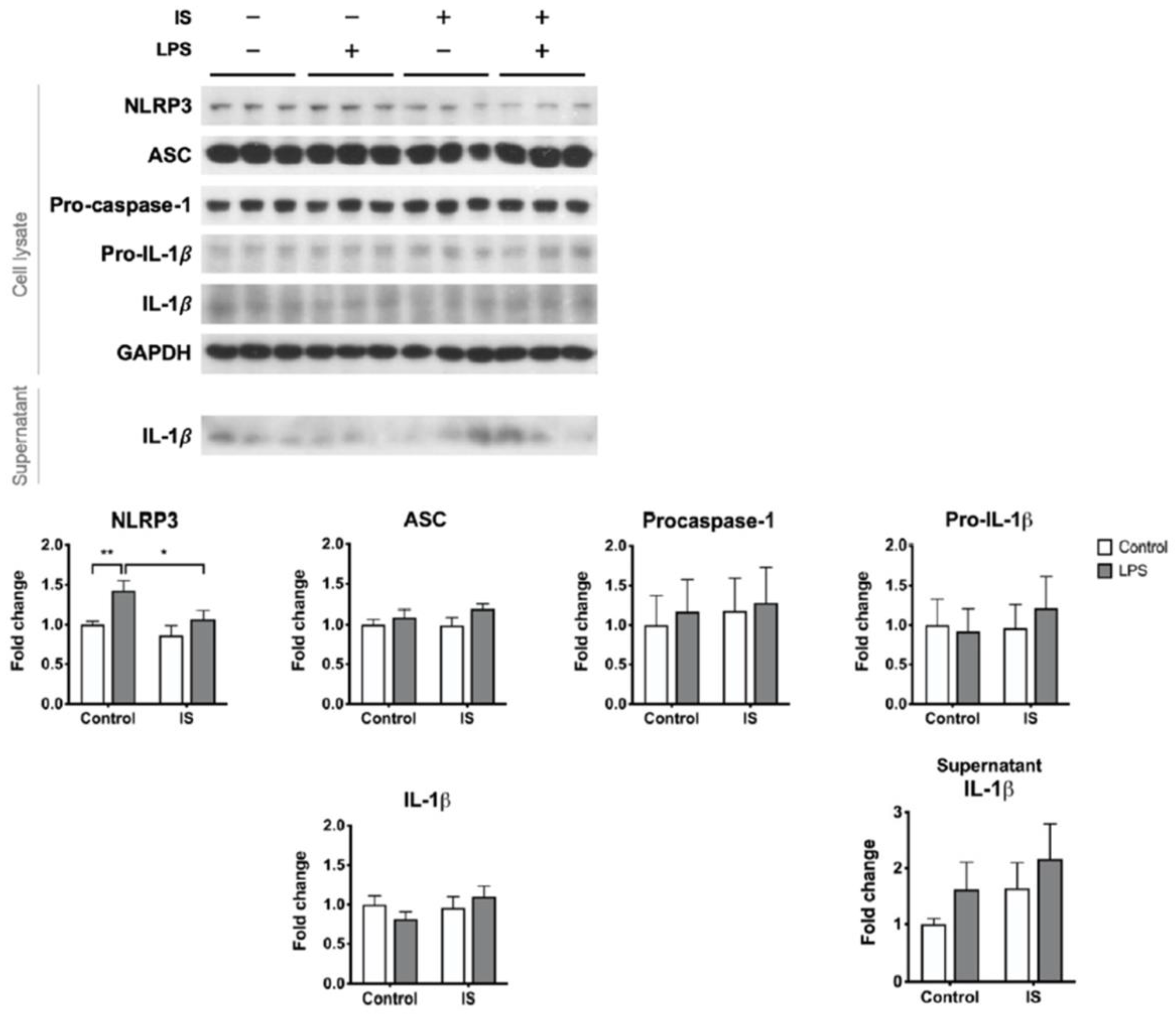Toxins 13 00038 g005