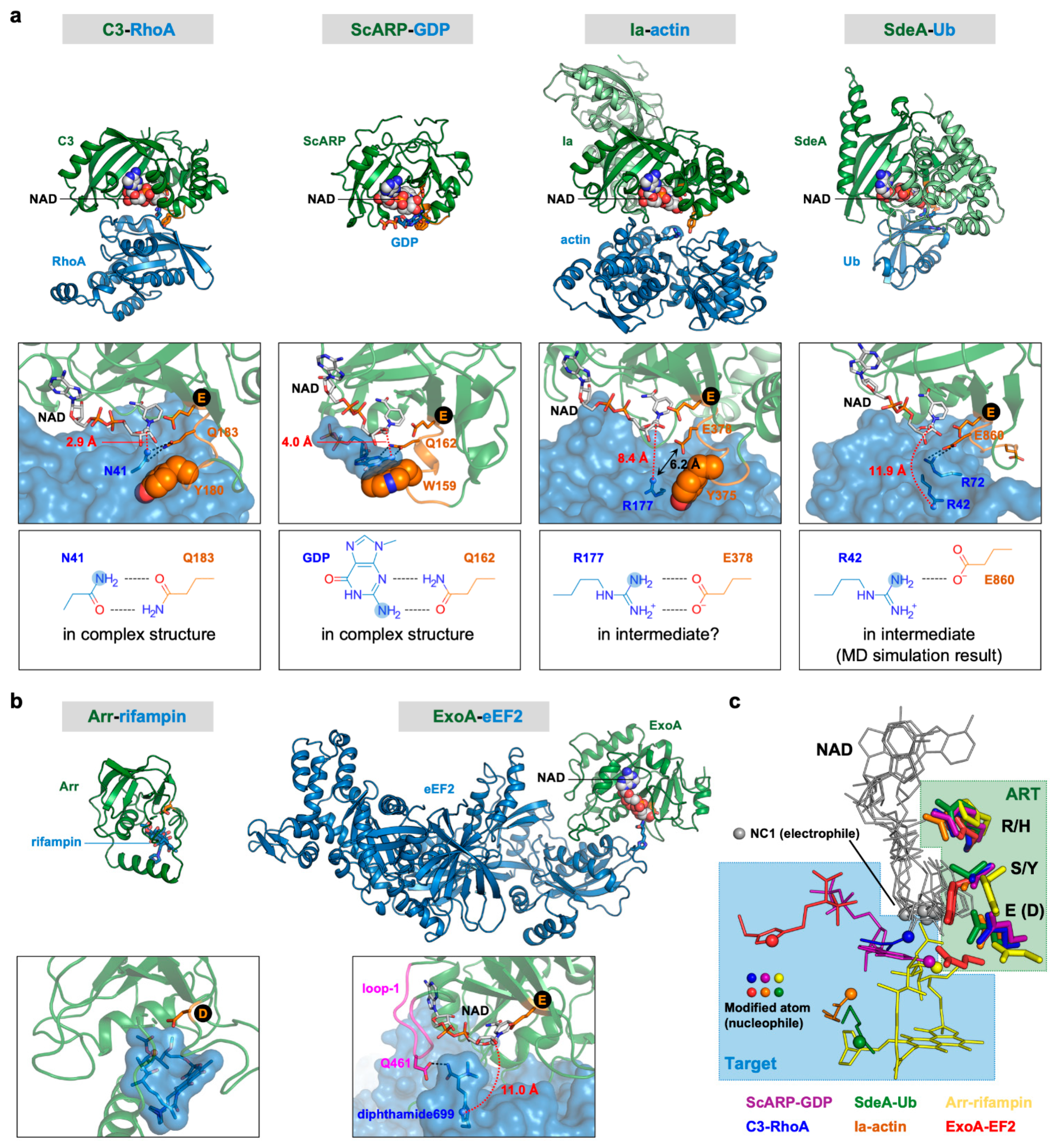 Toxins 13 00040 g002