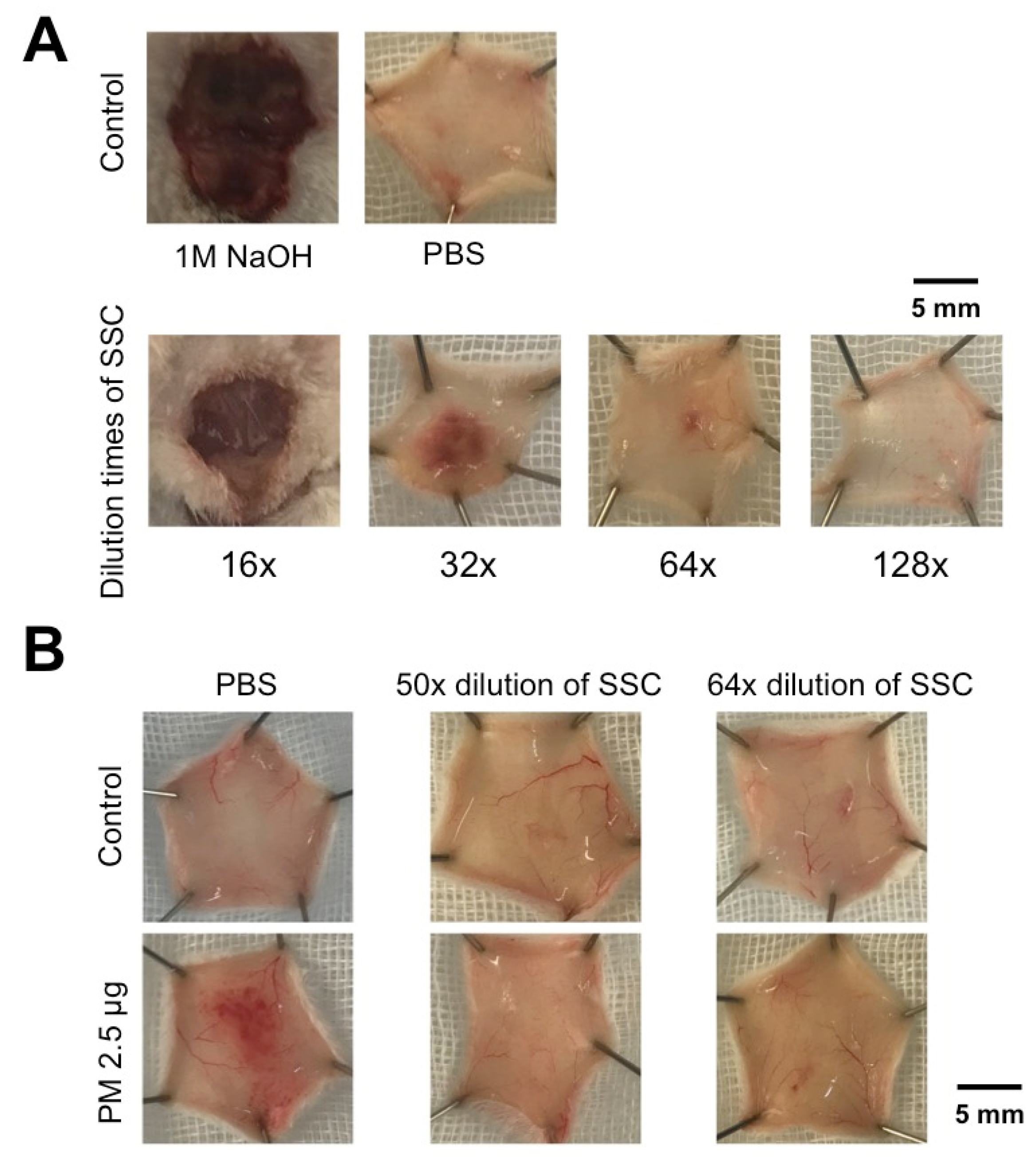 Toxins 13 00059 g003