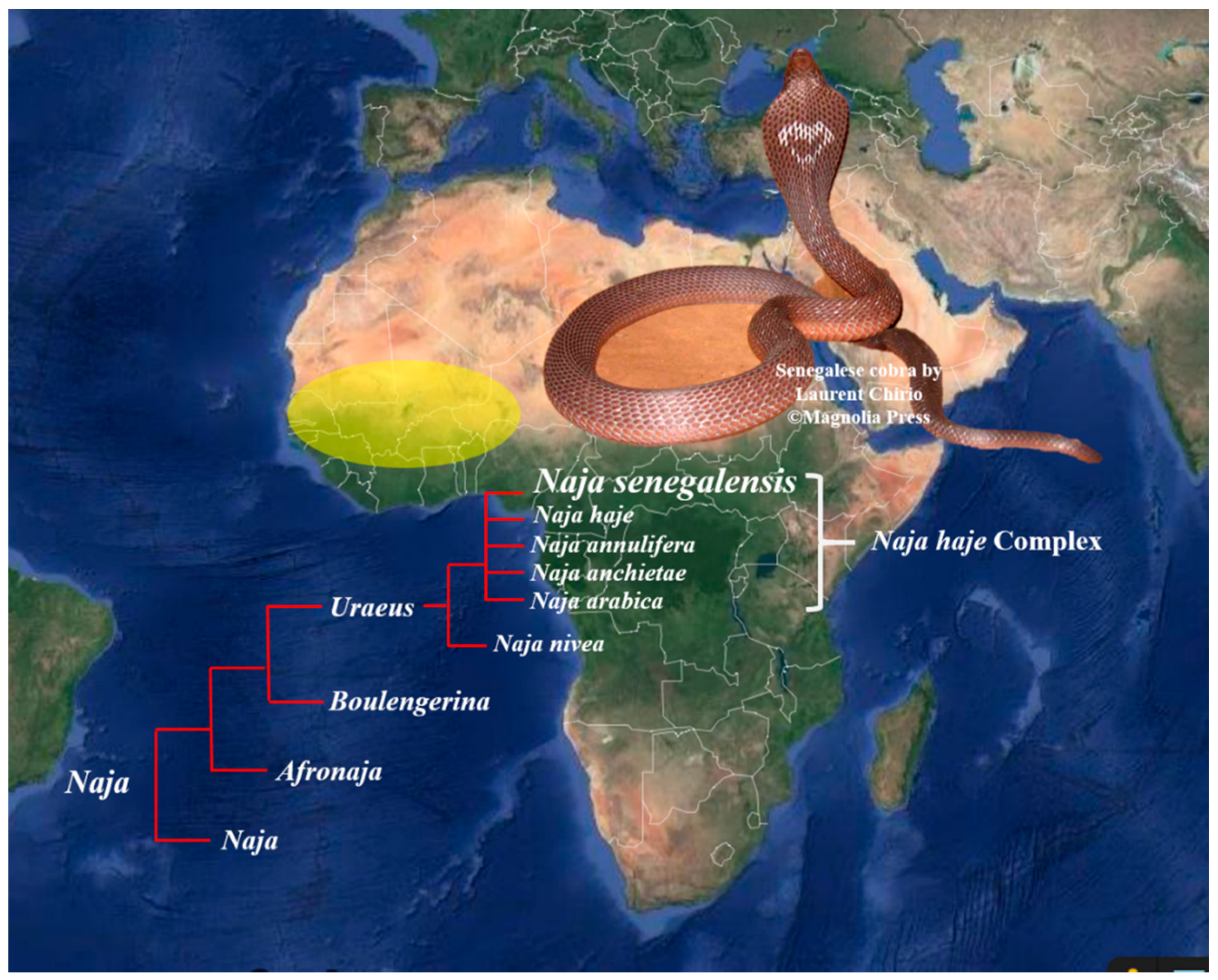 Toxins 13 00060 g001