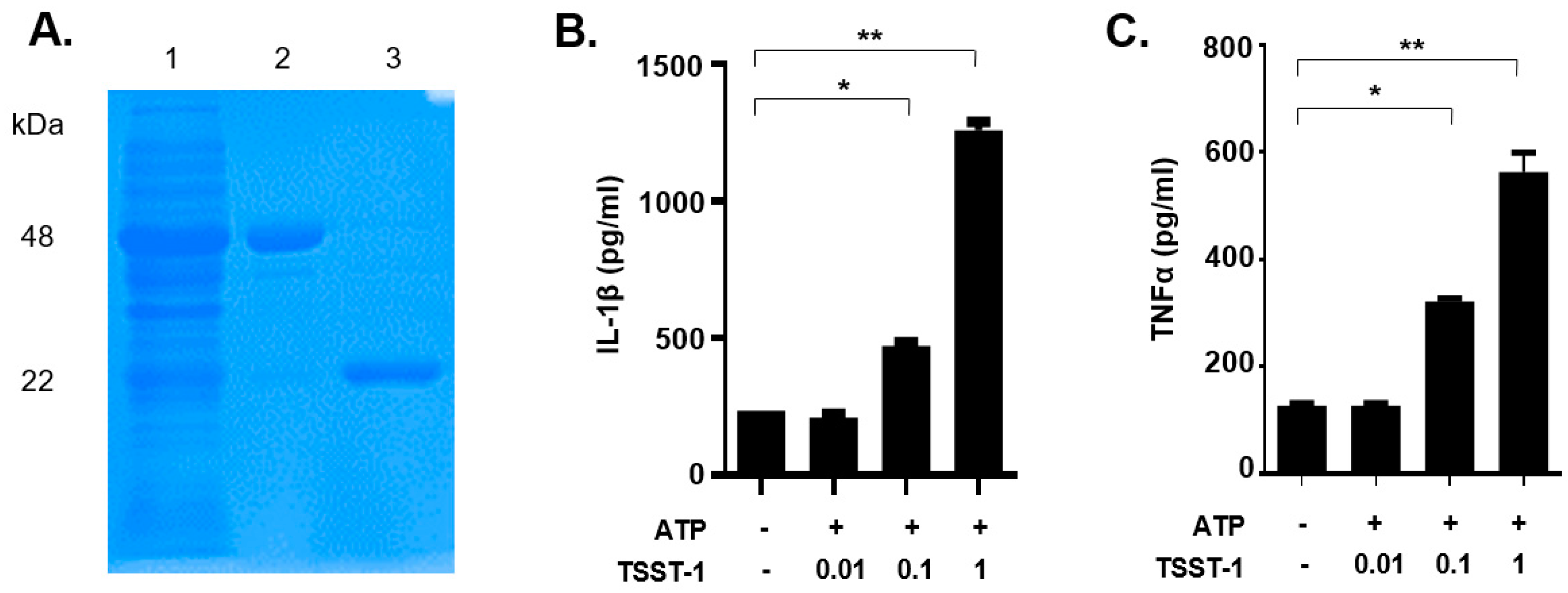 Toxins 13 00068 g001
