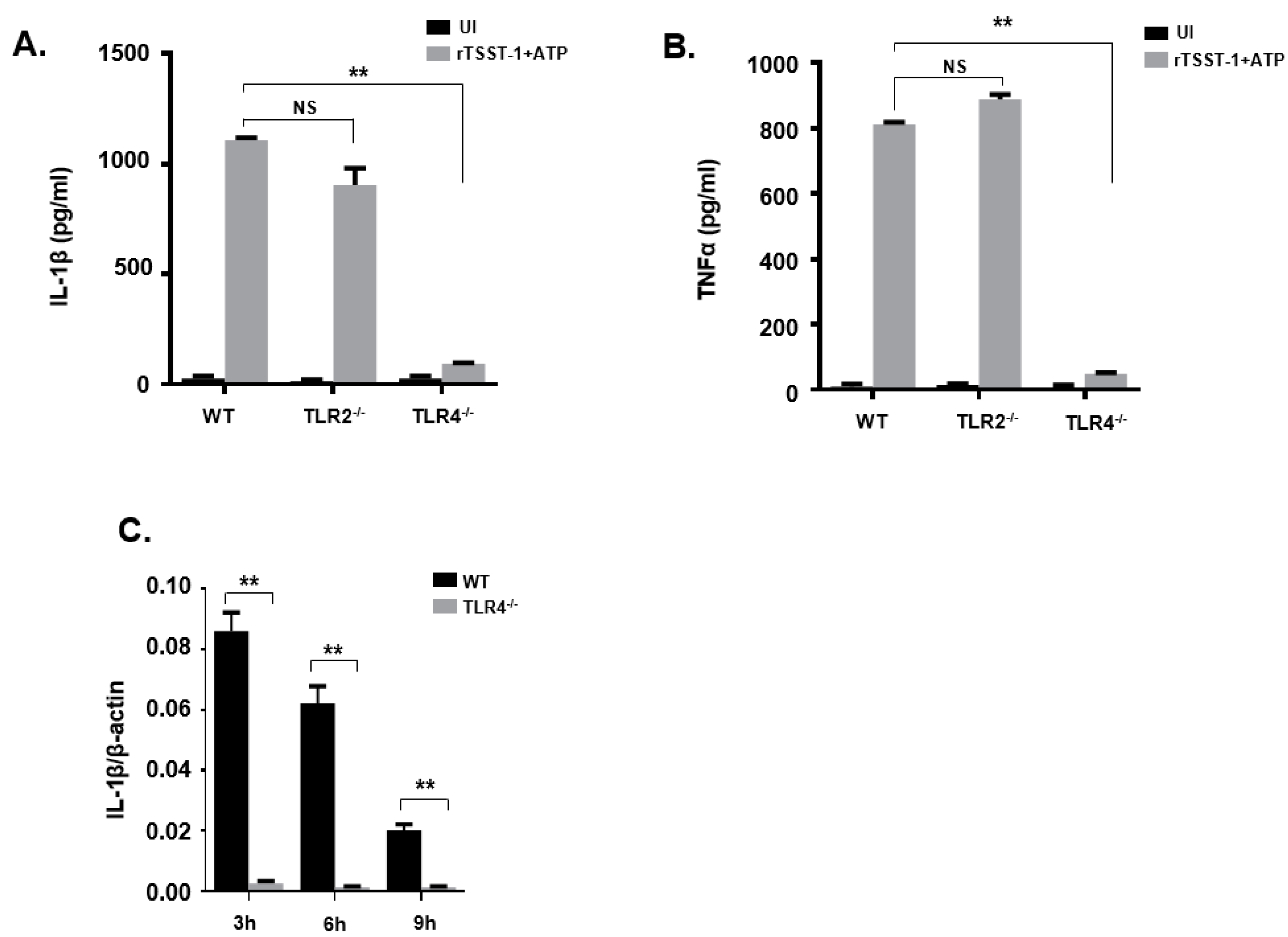 Toxins 13 00068 g003