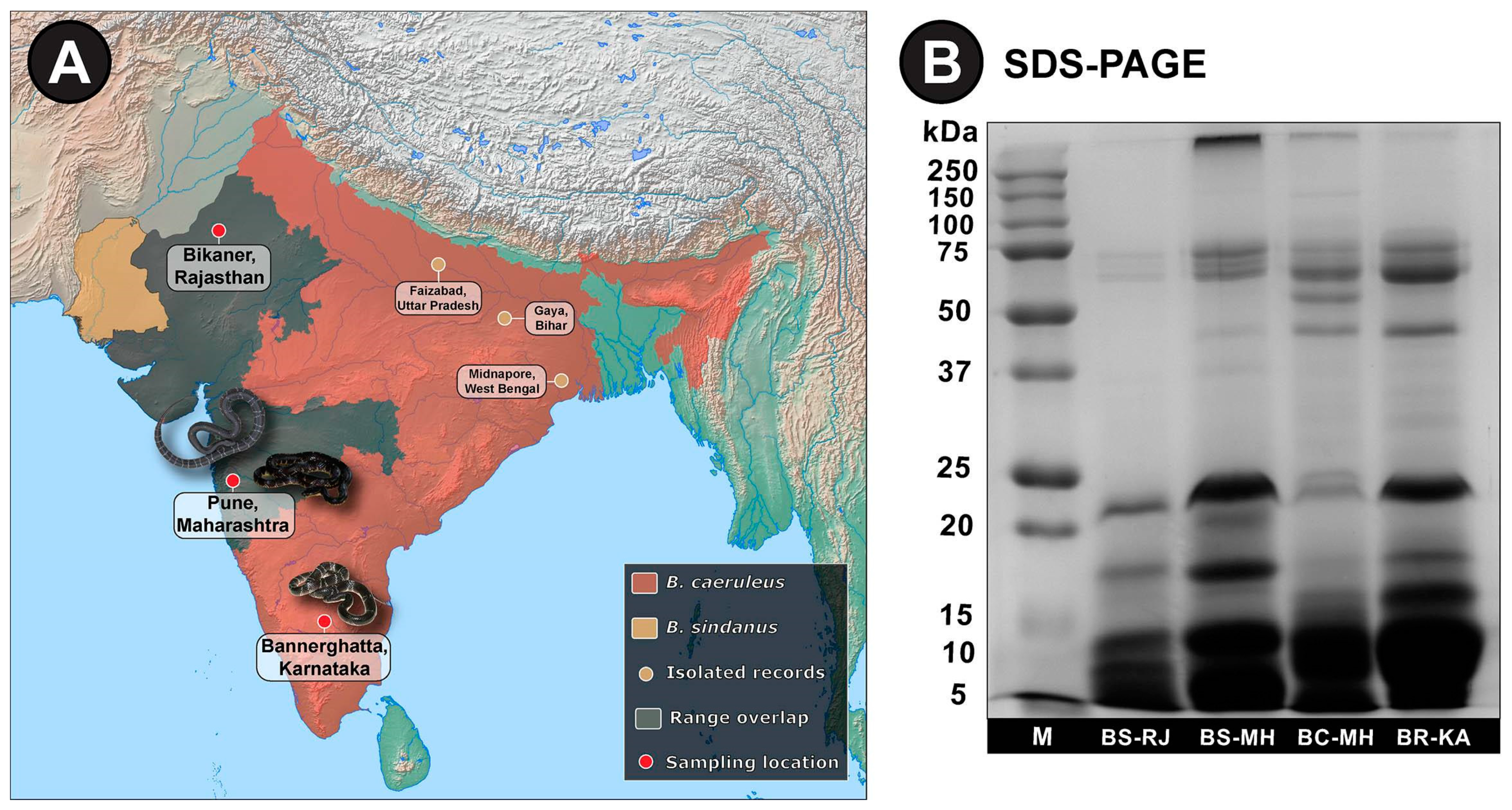 Toxins 13 00069 g001